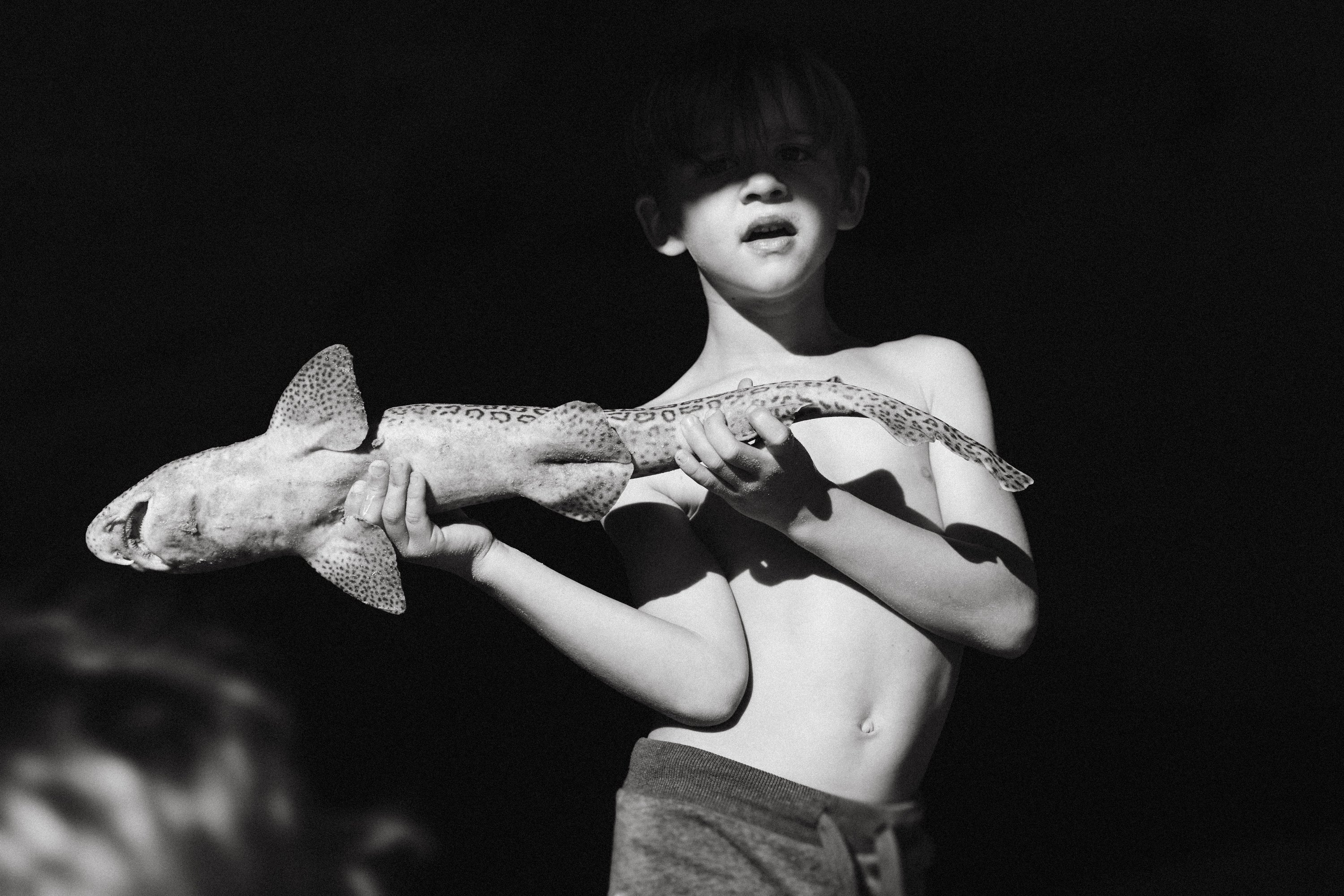 UNO - Single Edition framed prints