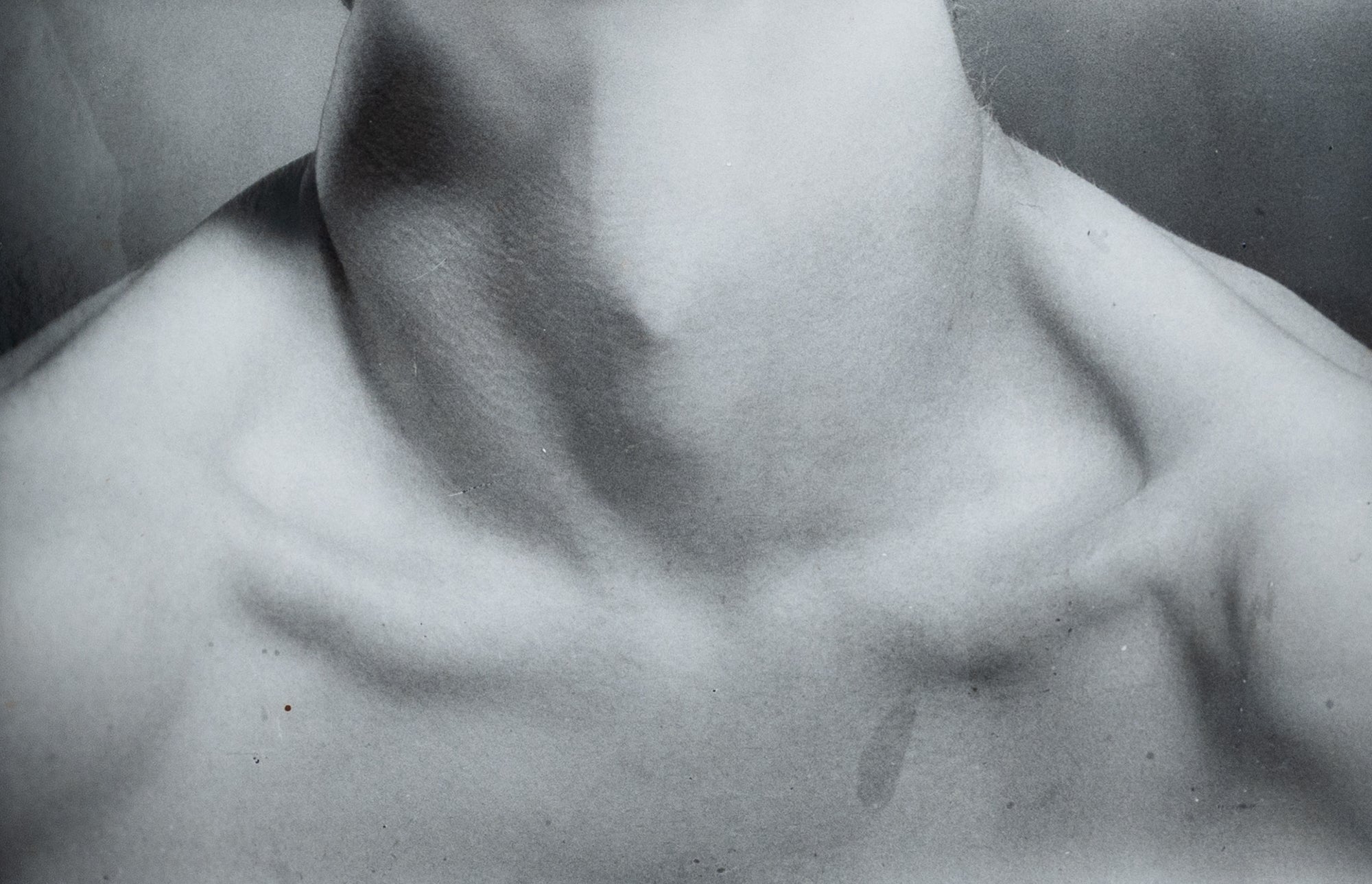 Bronwyn Matthews