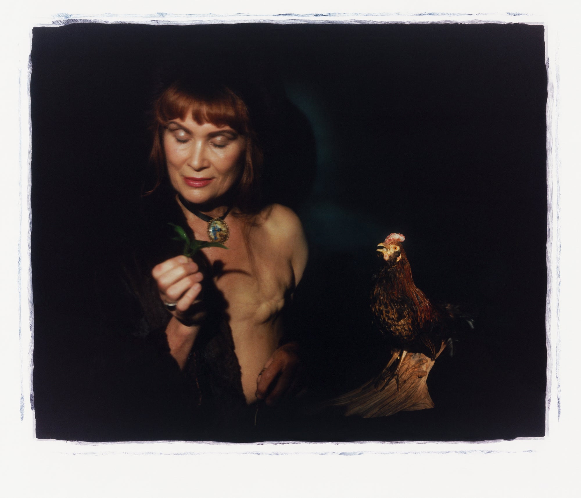 Christiaan Beyers + Deeva Merwe | Mother Hen