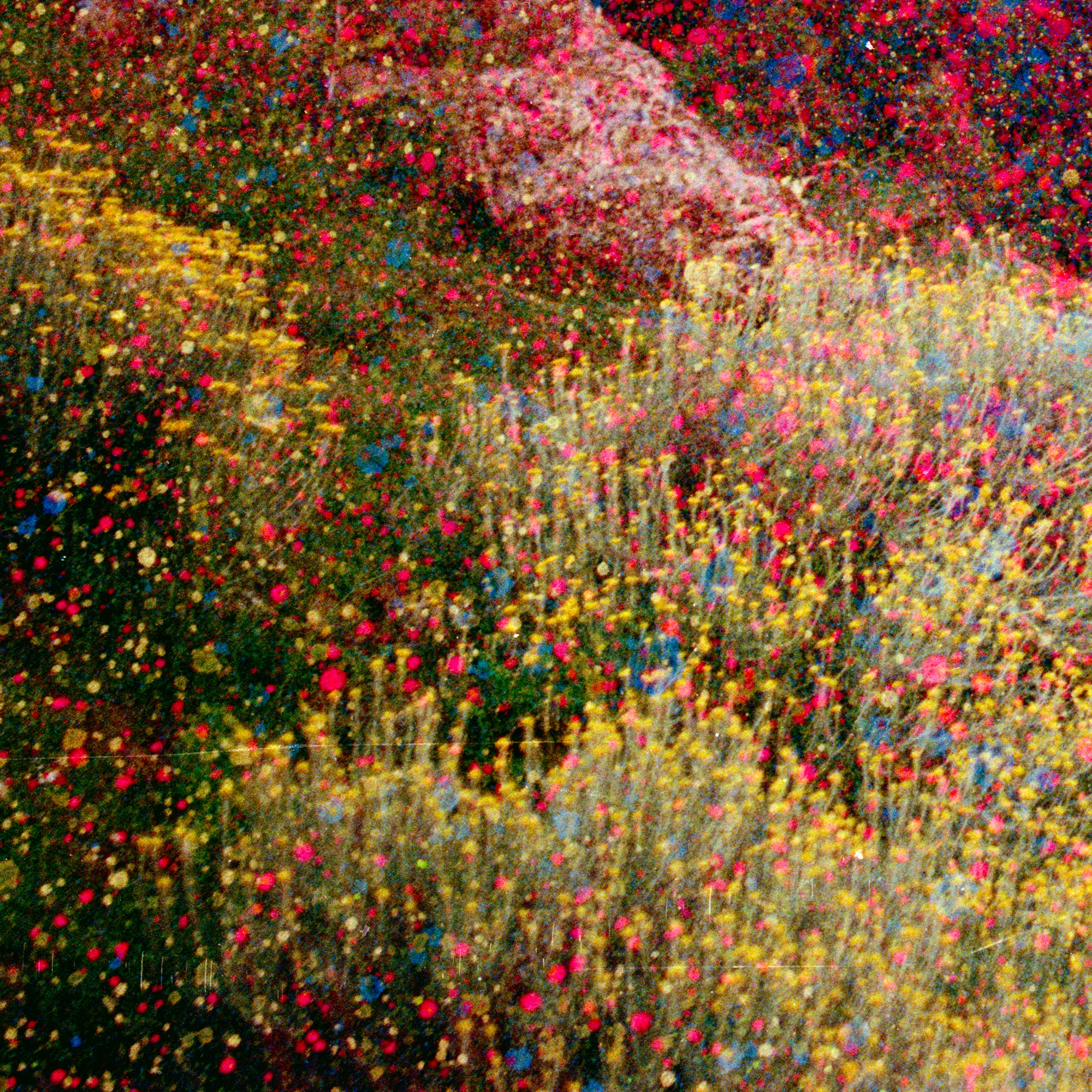 Dylan Culhane | Pointillist Scene, Semonkong (Lesotho, 2013)