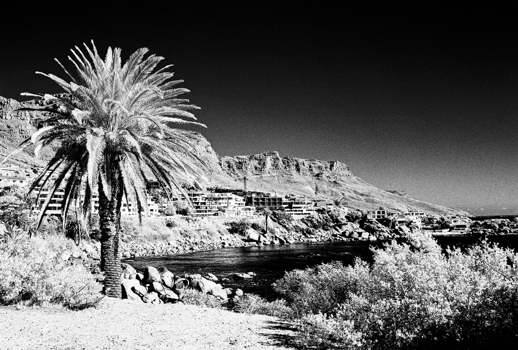 Andrew Baxter | Bakoven (2025)