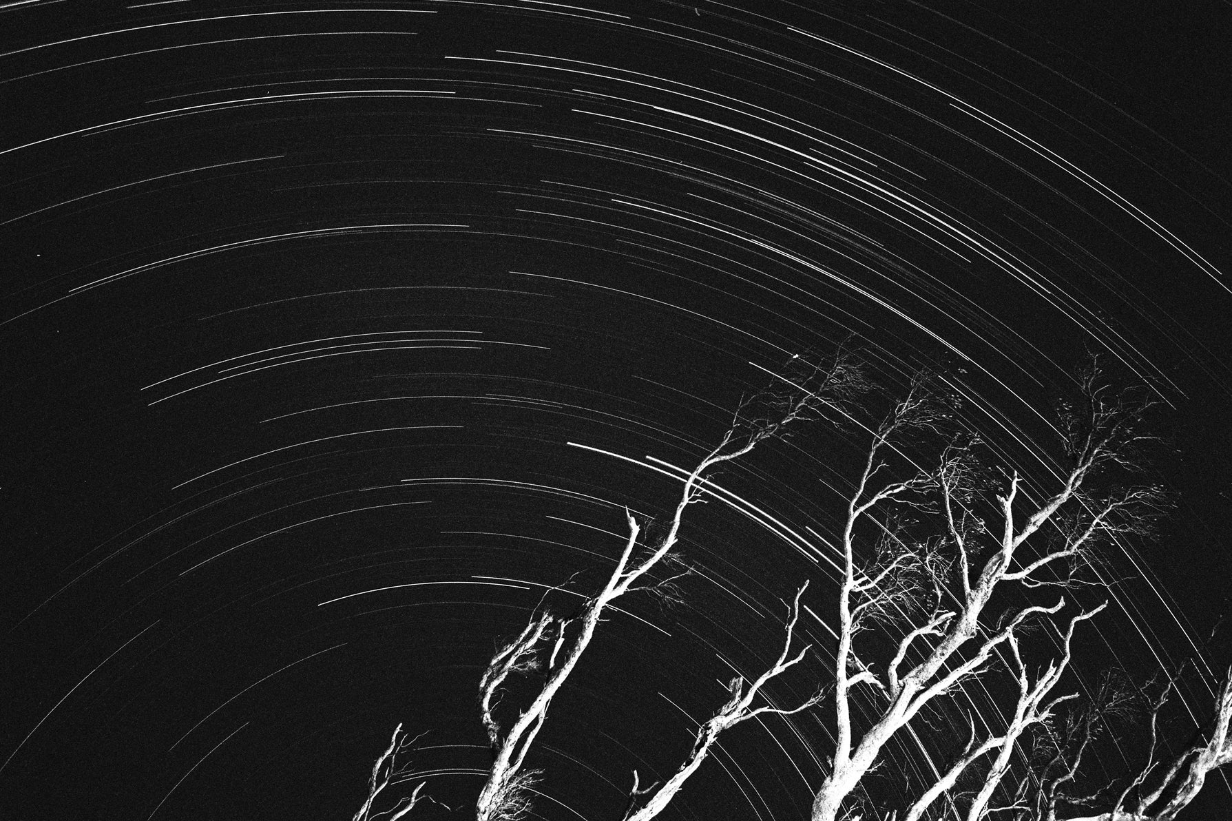 Andrew Baxter | Star Trails and Branches (2025)