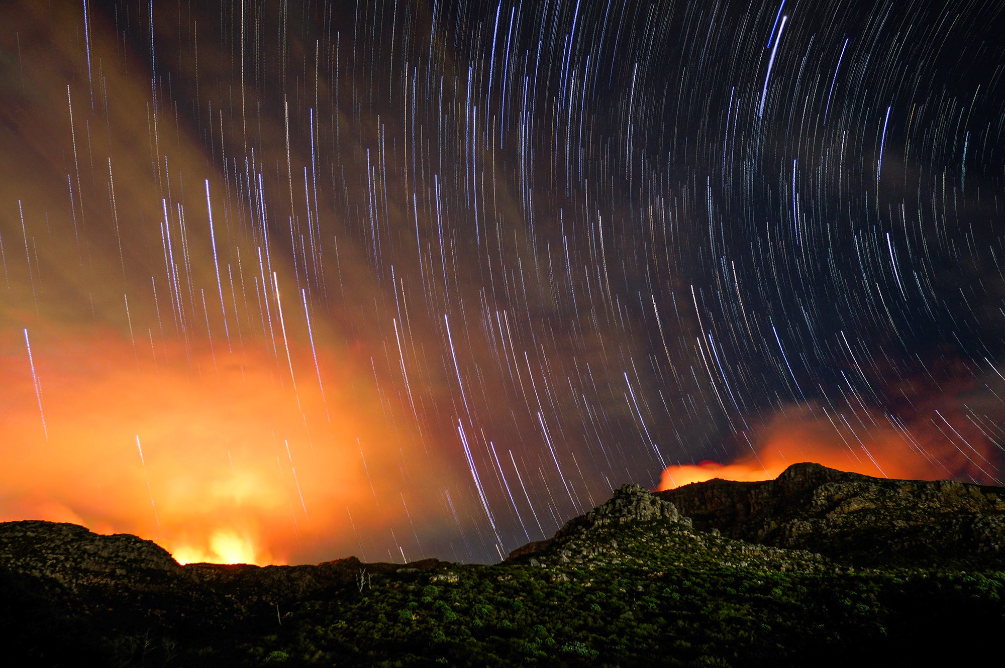 Andrew Baxter | Tokai on Fire (2025)