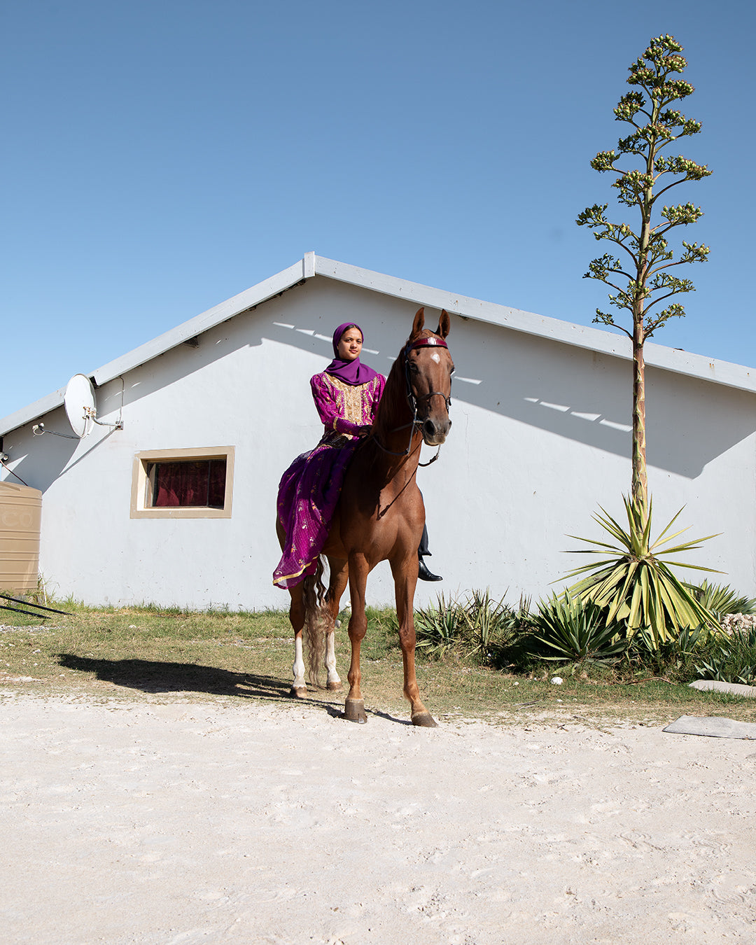 Gabrielle Kannemeyer | Aamina Anthony and Kalou Survivor (Sandvlei, 2024)