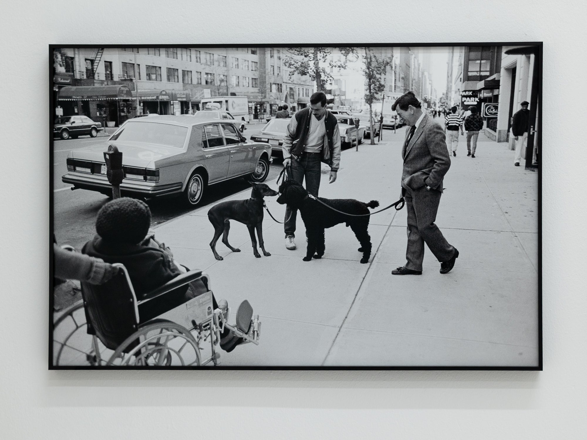 Josie Borain | 'Poodle Meets Pinscher'