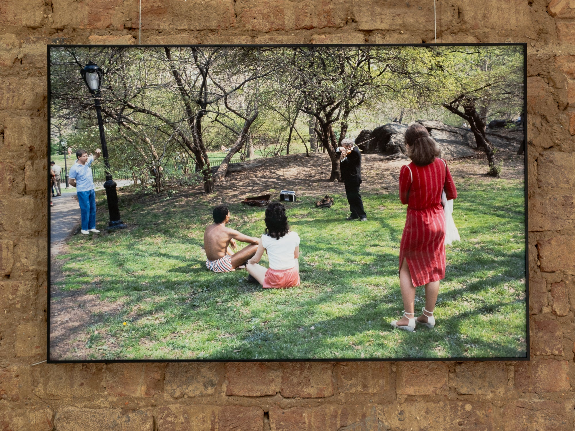 Josie Borain | 'Violinist in Central Park'