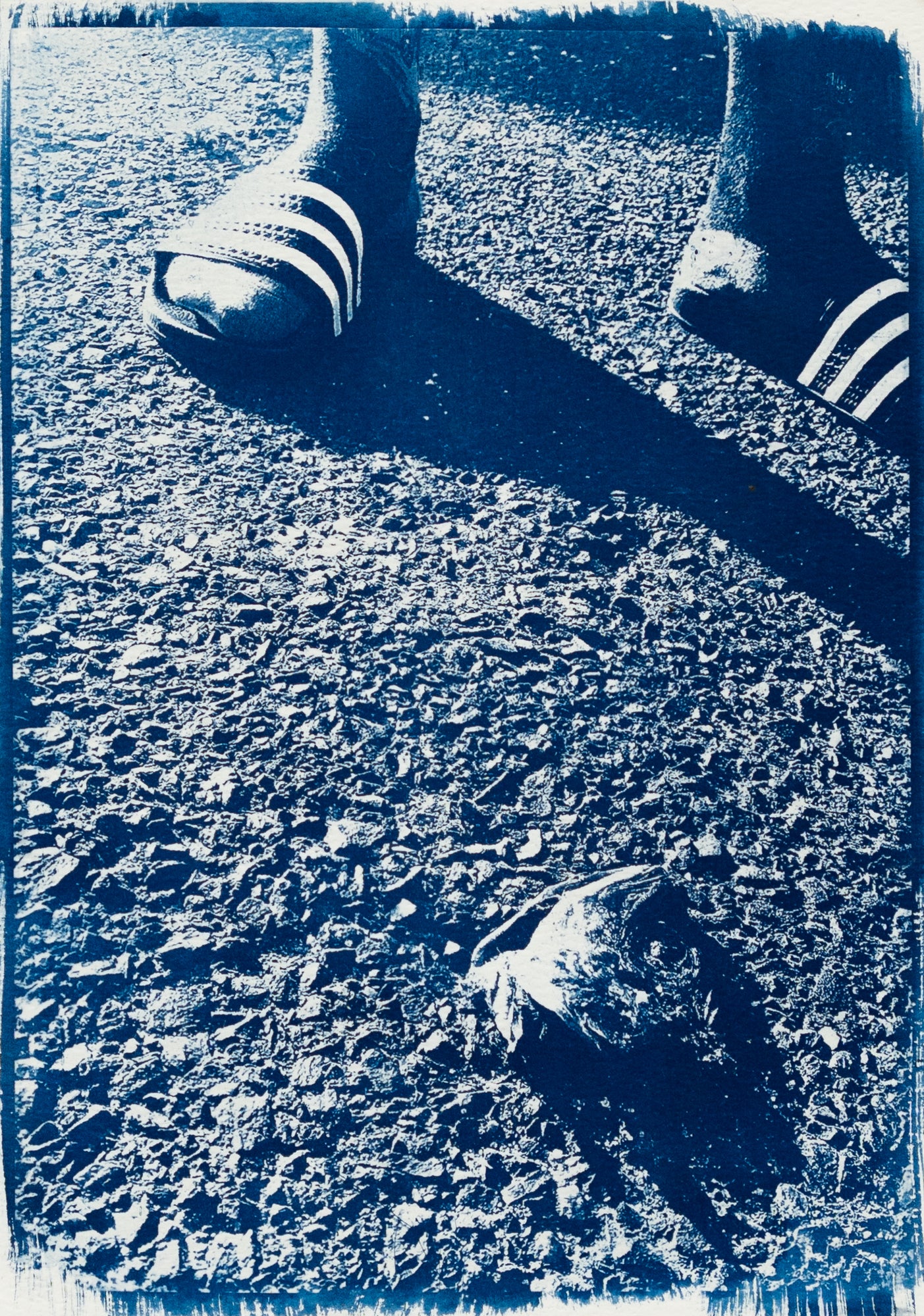 Lauren Rose | Slide Fish (Cape Town, 2026)