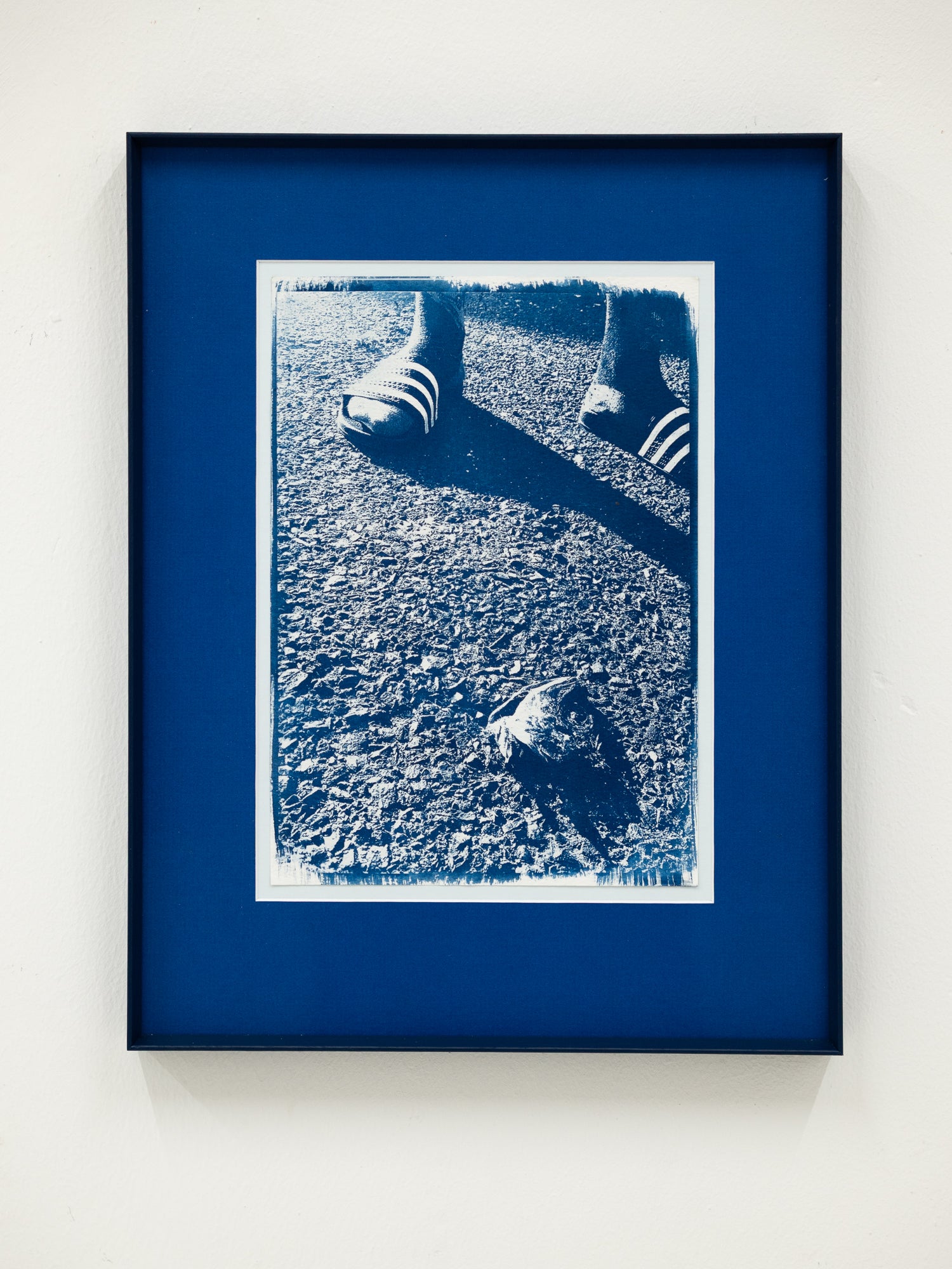 Lauren Rose | Slide Fish (Cape Town, 2026)