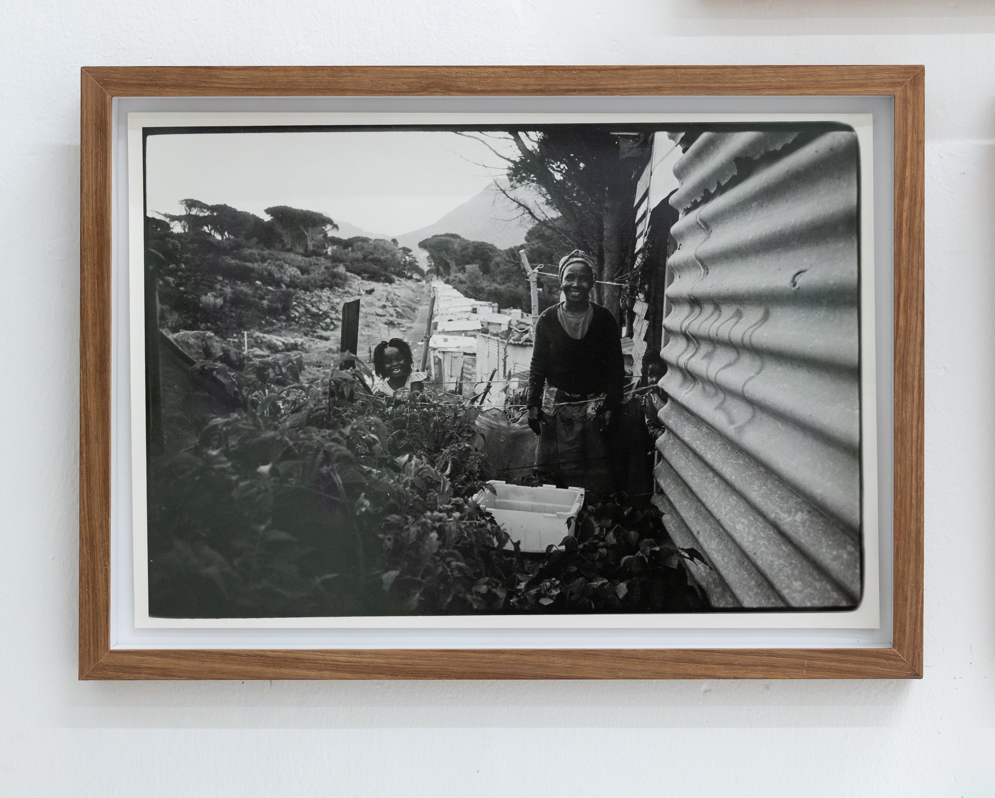 Gary van Wyk | Mama's Veggie Garden (Imizamo Yethu, 2014)