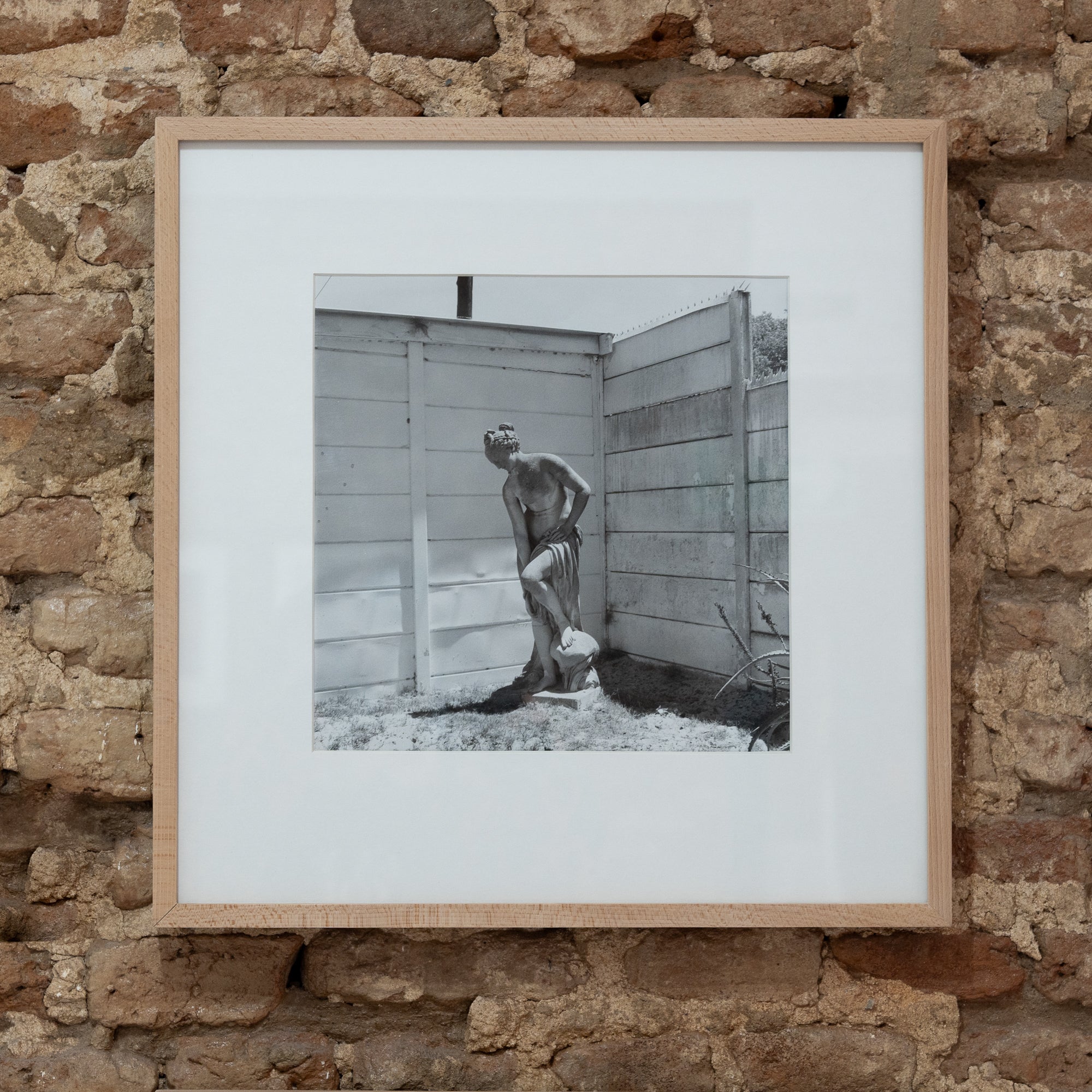 Dillon Marsh | Ruyterwacht (2025)