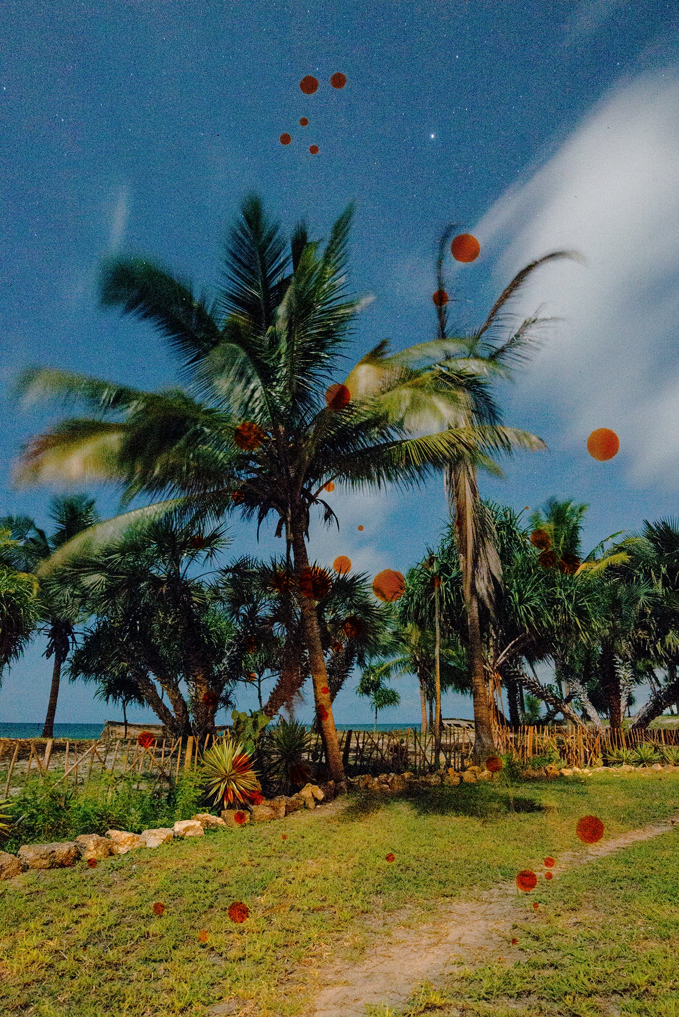 Caroline Sohie | Blood Stars (2024)