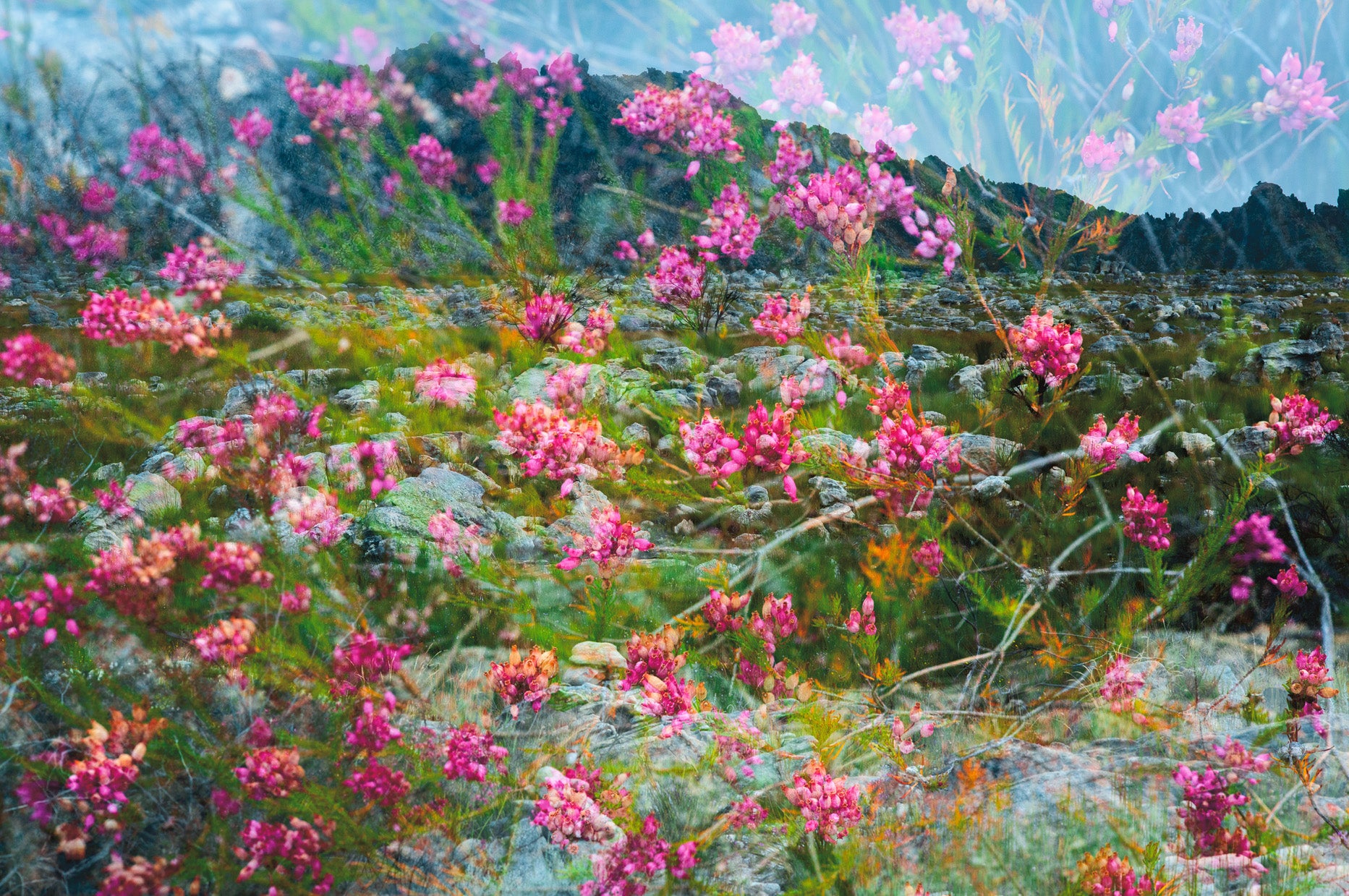 Dylan Culhane | Big Winter Corner (Cederberg, 2019)