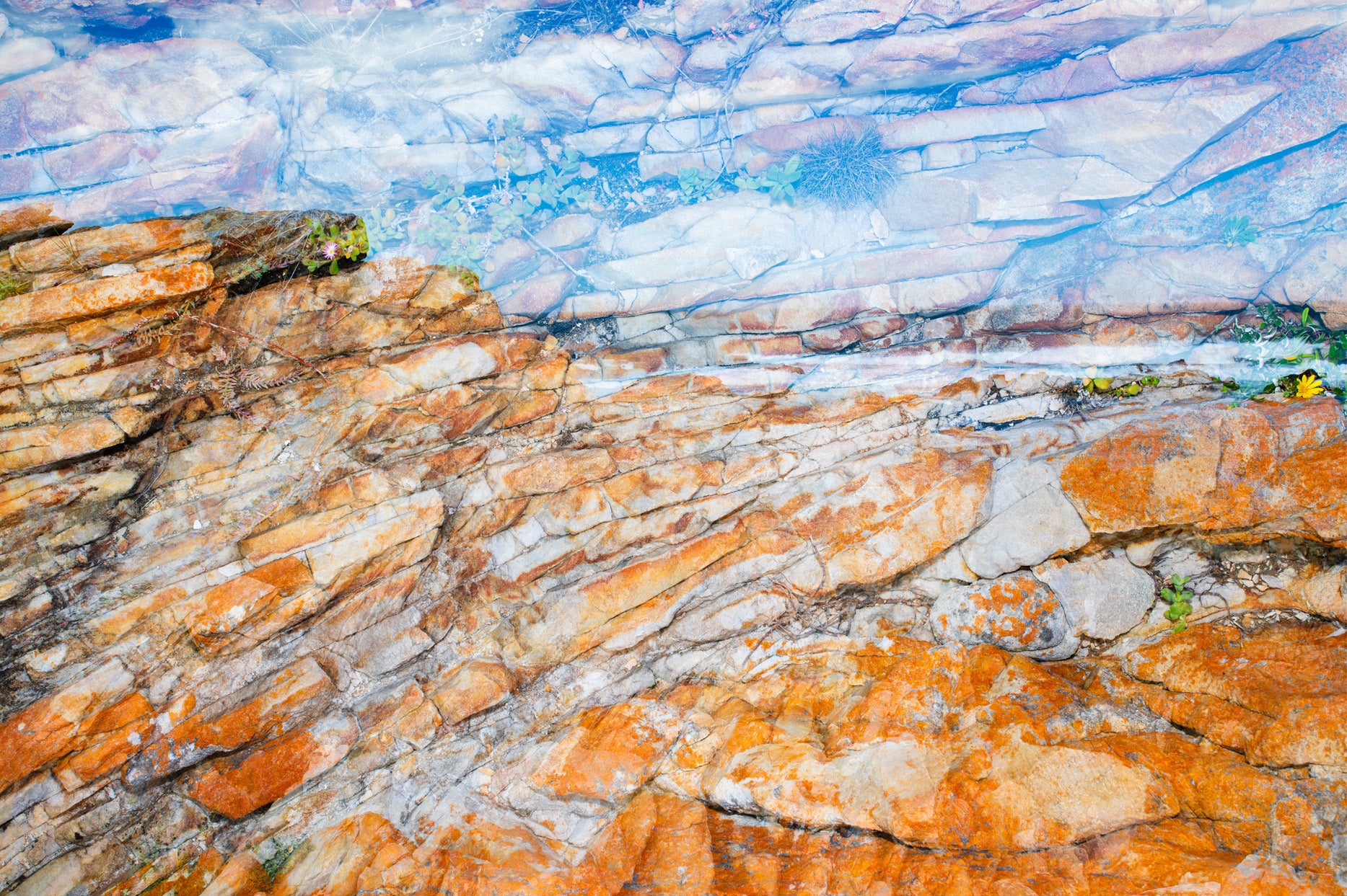 Dylan Culhane | Shale Fractals, Cape St. Francis (2025)