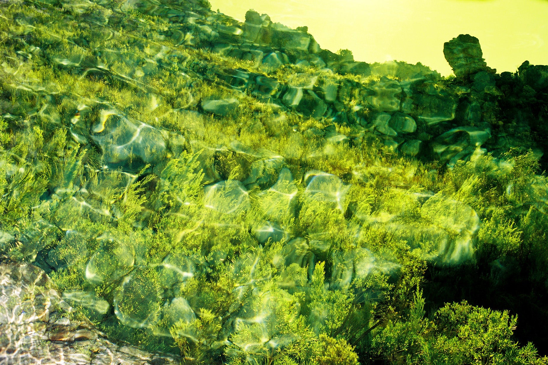 Dylan Culhane | Bainskloof (2011)