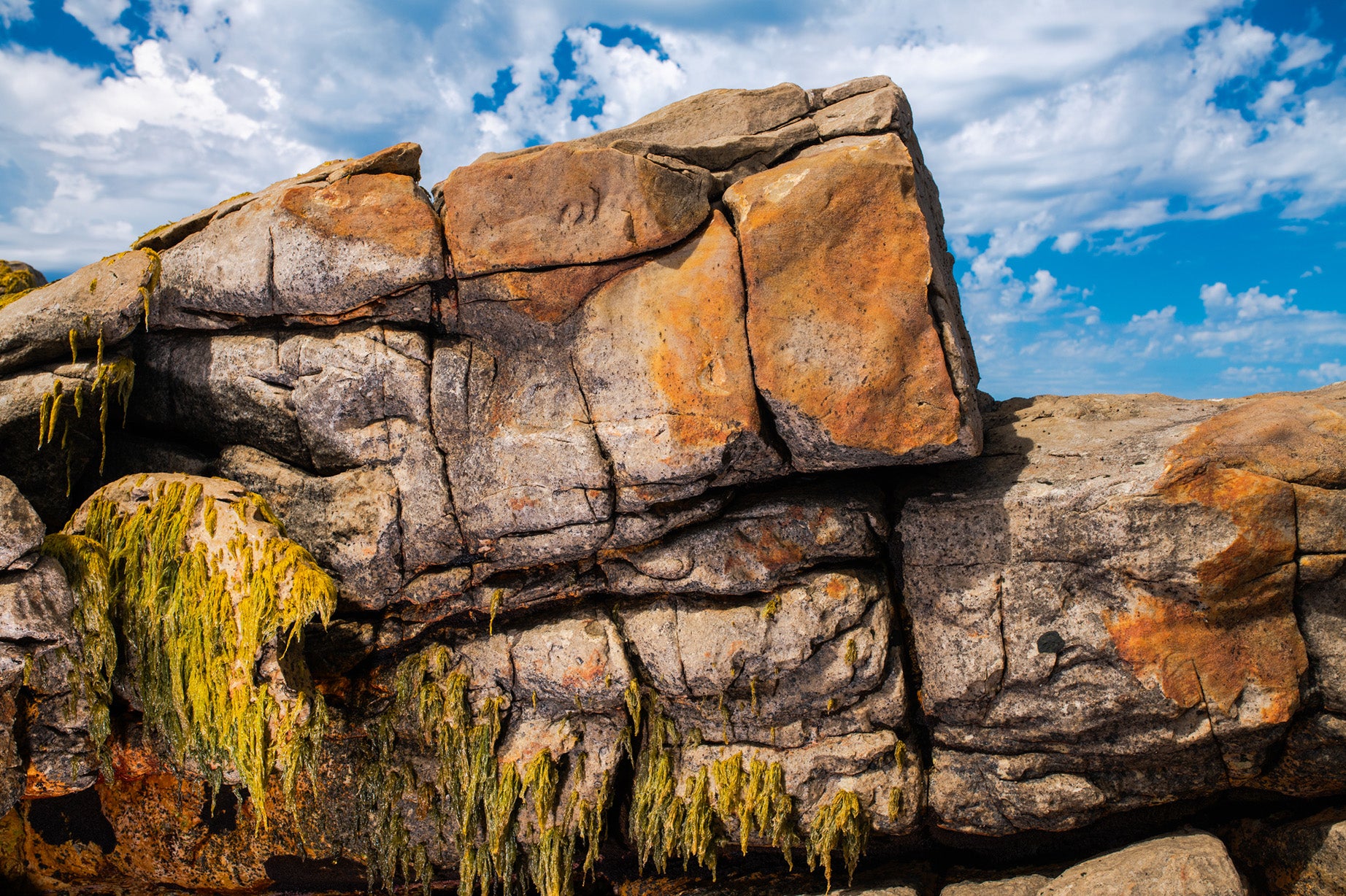 Dylan Culhane | Nook, Cape St. Francis Bay (2025)