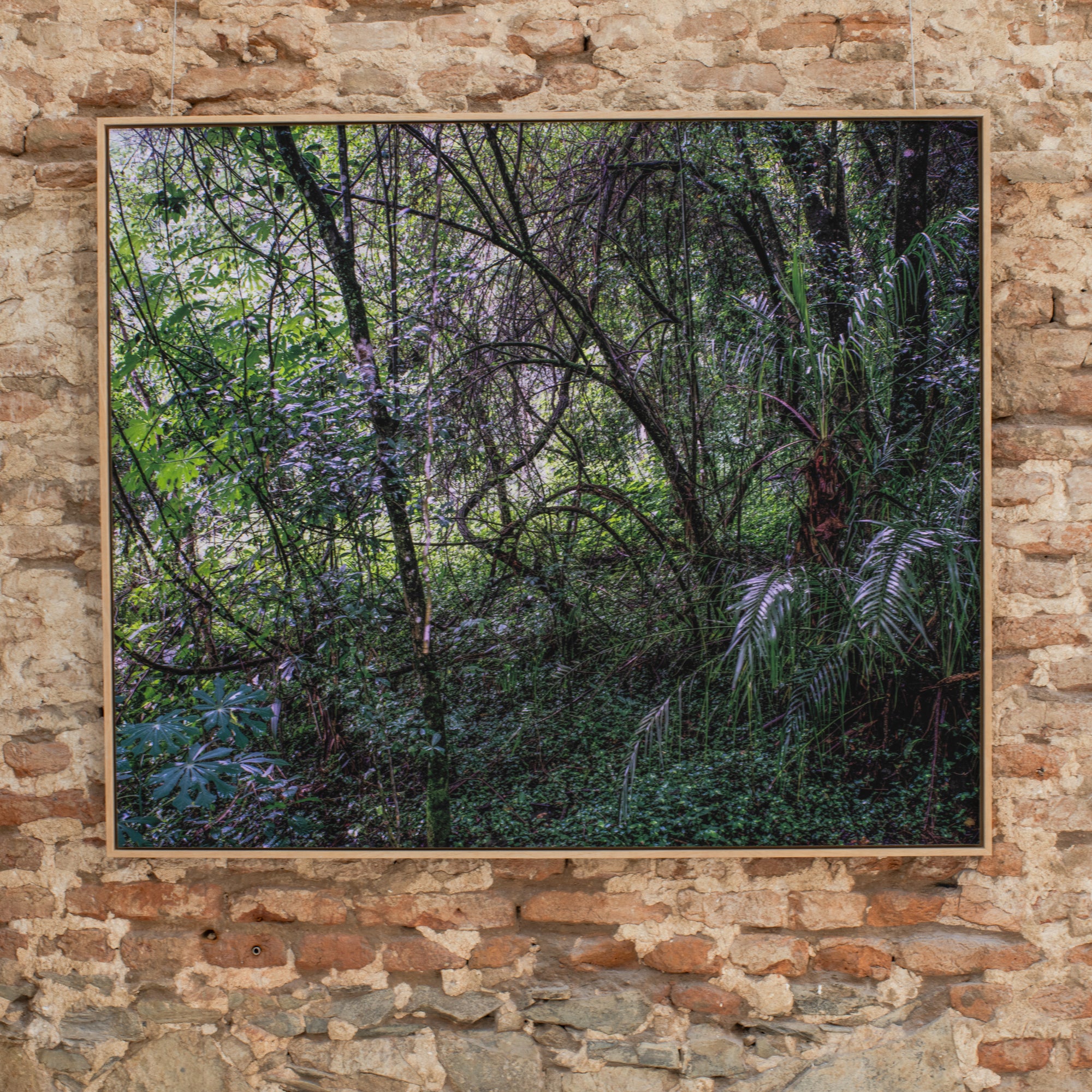 David Southwood | Oriel Road (2009)