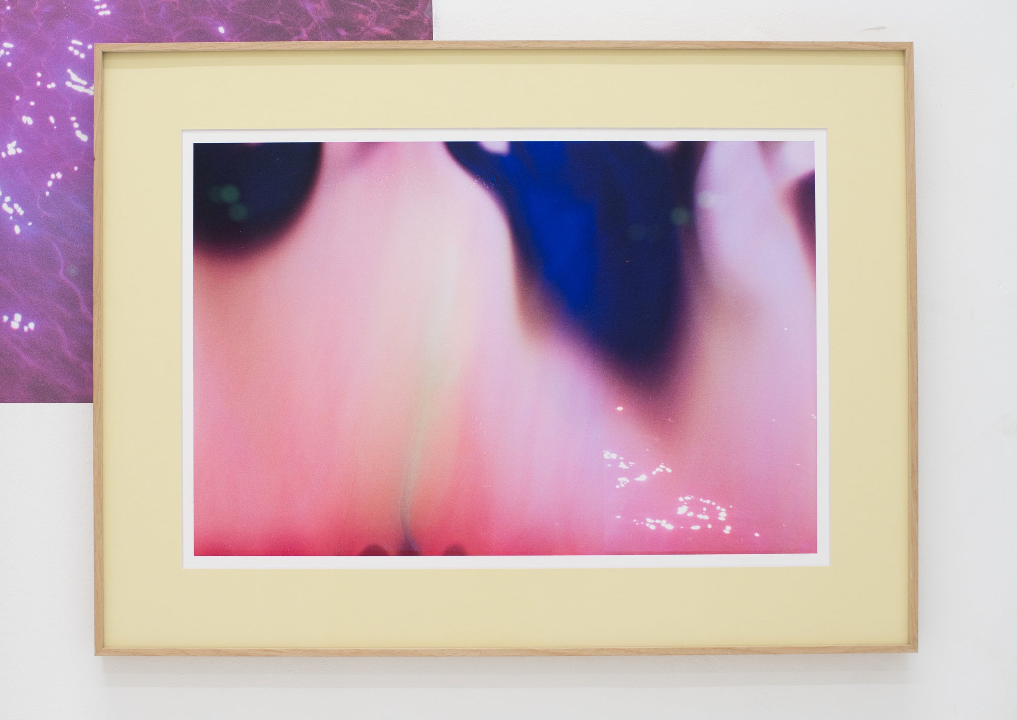 Sophie Smith | Glimmer (2024)