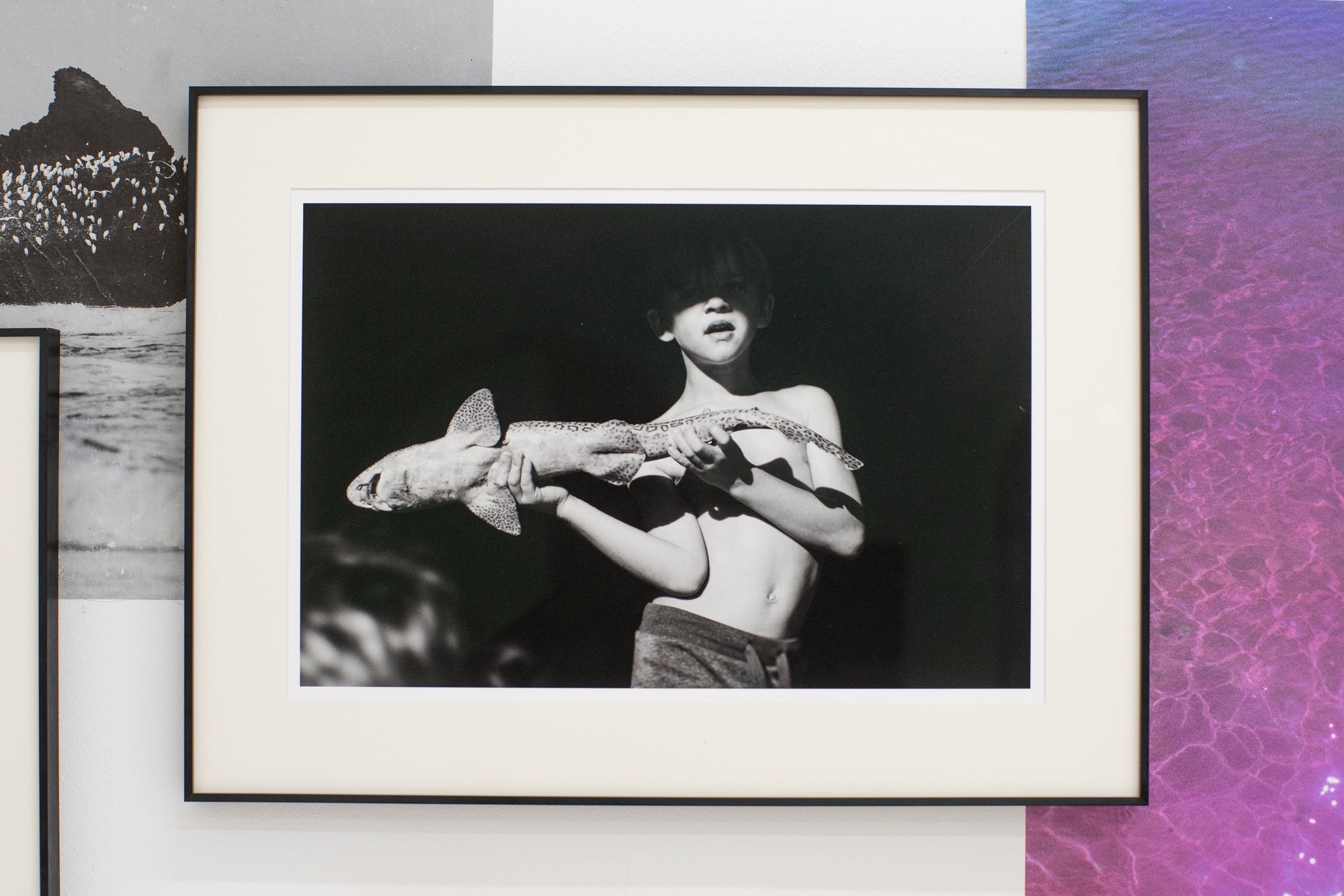 Sophie Smith | Memento Mori (2025)