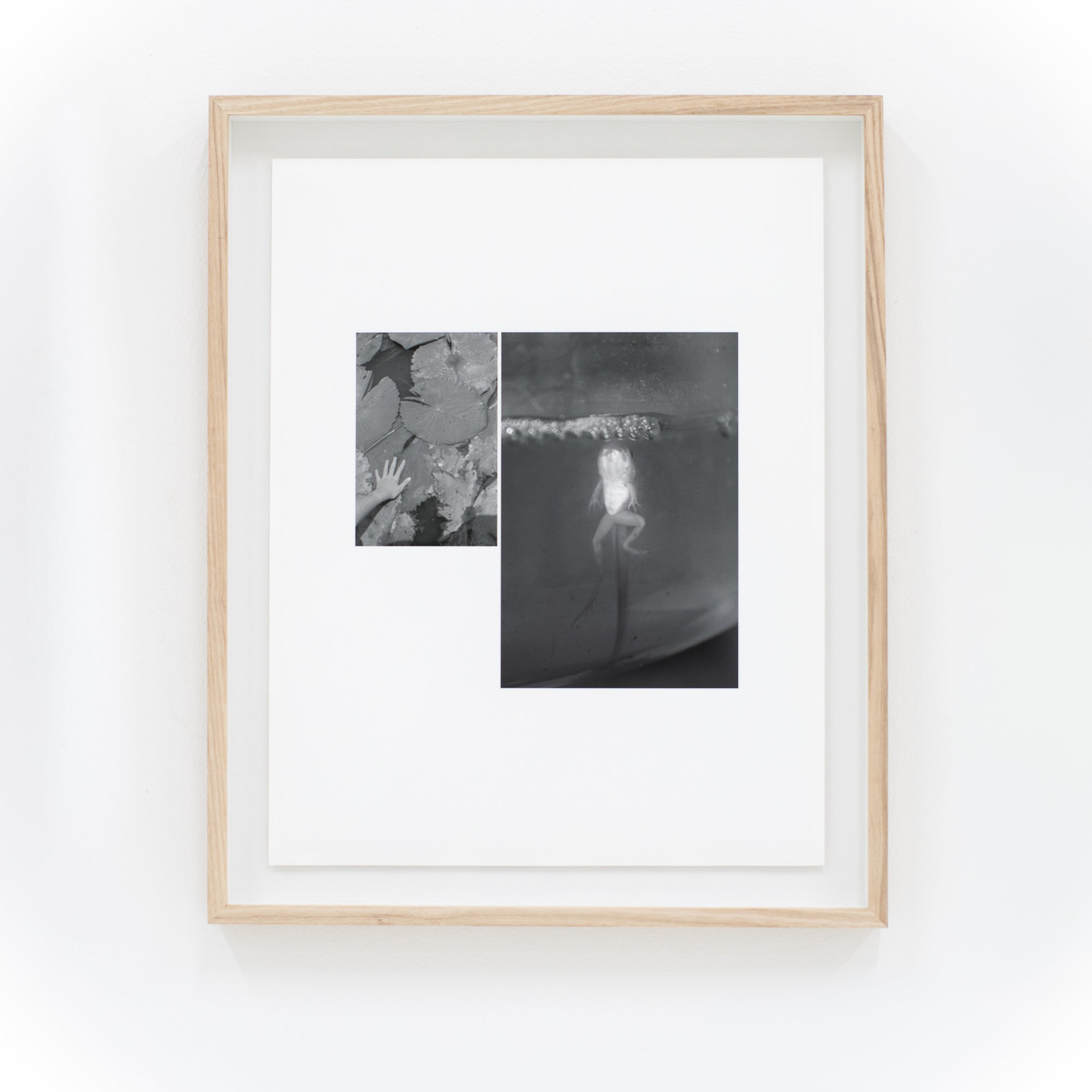 Sharday Swanepoel | Excerpt II (2025)