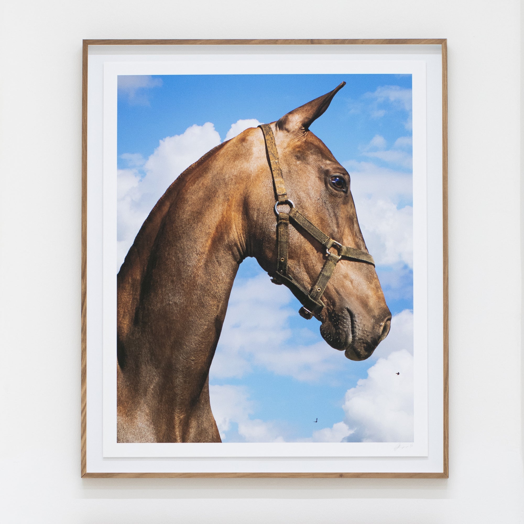 Gabrielle Kannemeyer | She's on Fire (Moorreesburg, 2024)