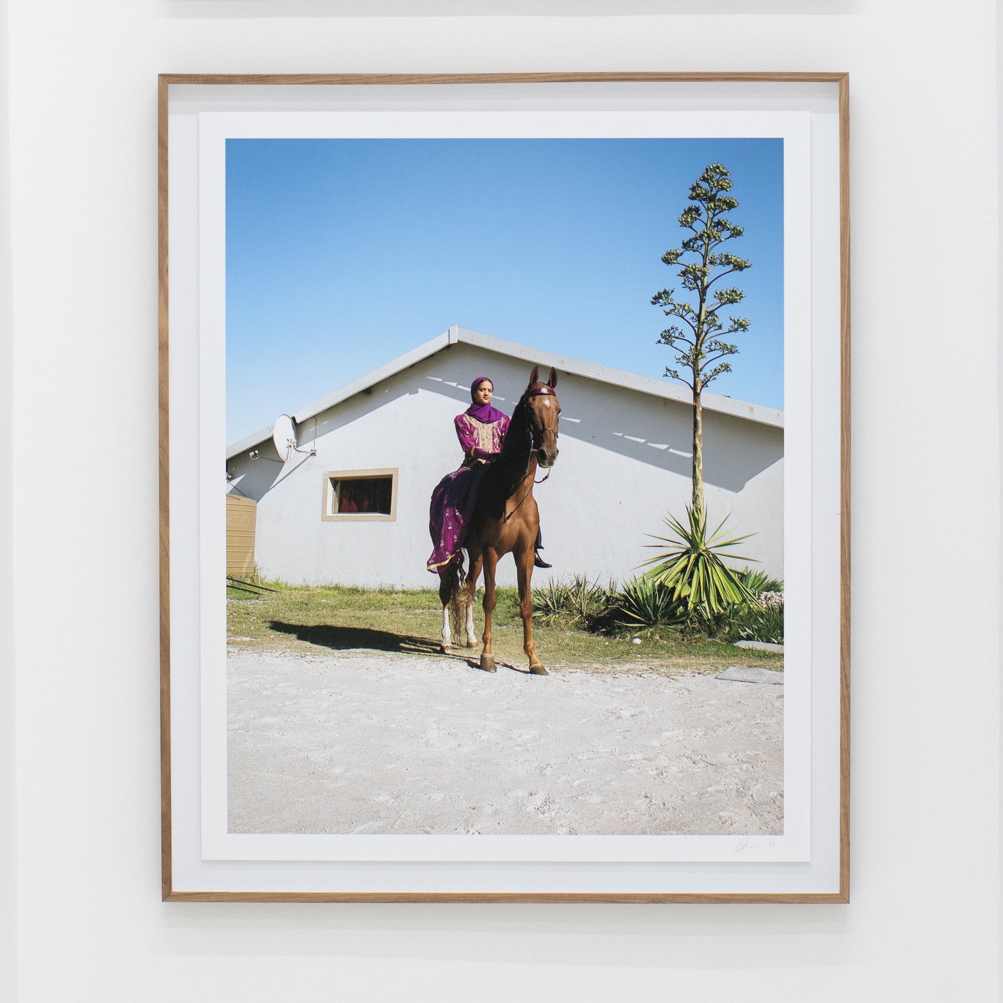 Gabrielle Kannemeyer | Aamina Anthony and Kalou Survivor (Sandvlei, 2024)