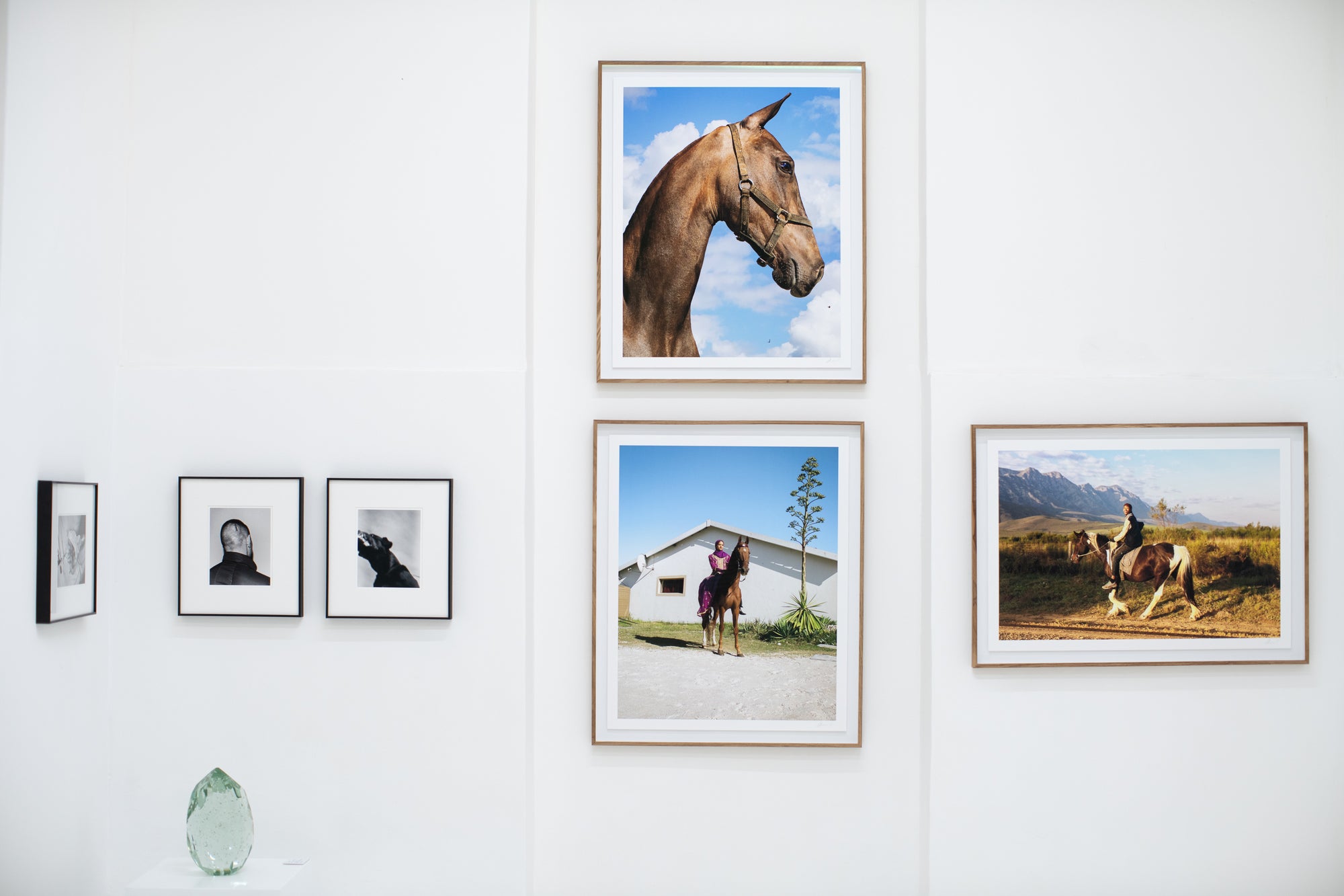 Gabrielle Kannemeyer | Dino and Stallion (Overberg, 2024)