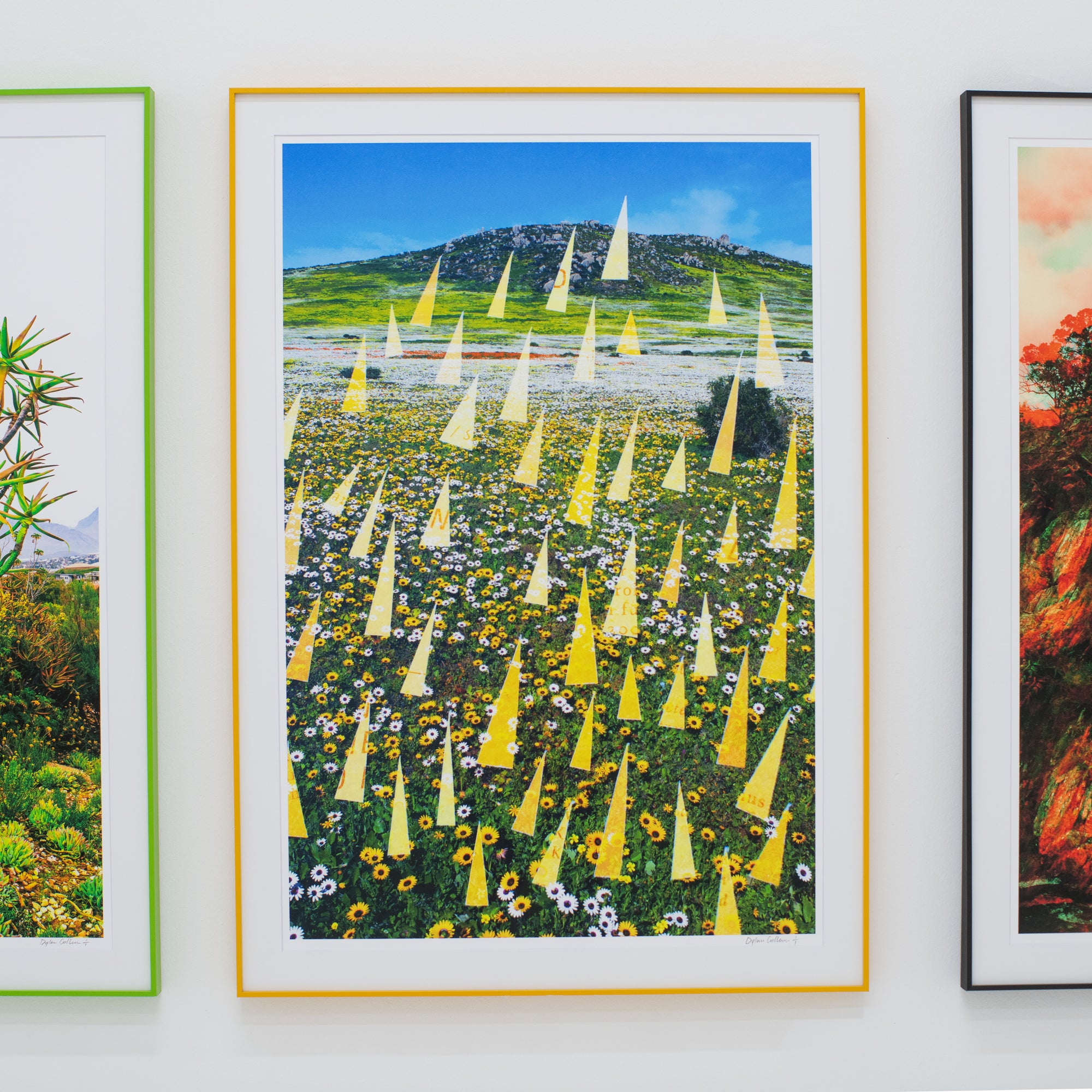 Dylan Culhane | The Onslaught of Spring (Langebaan, 2020)