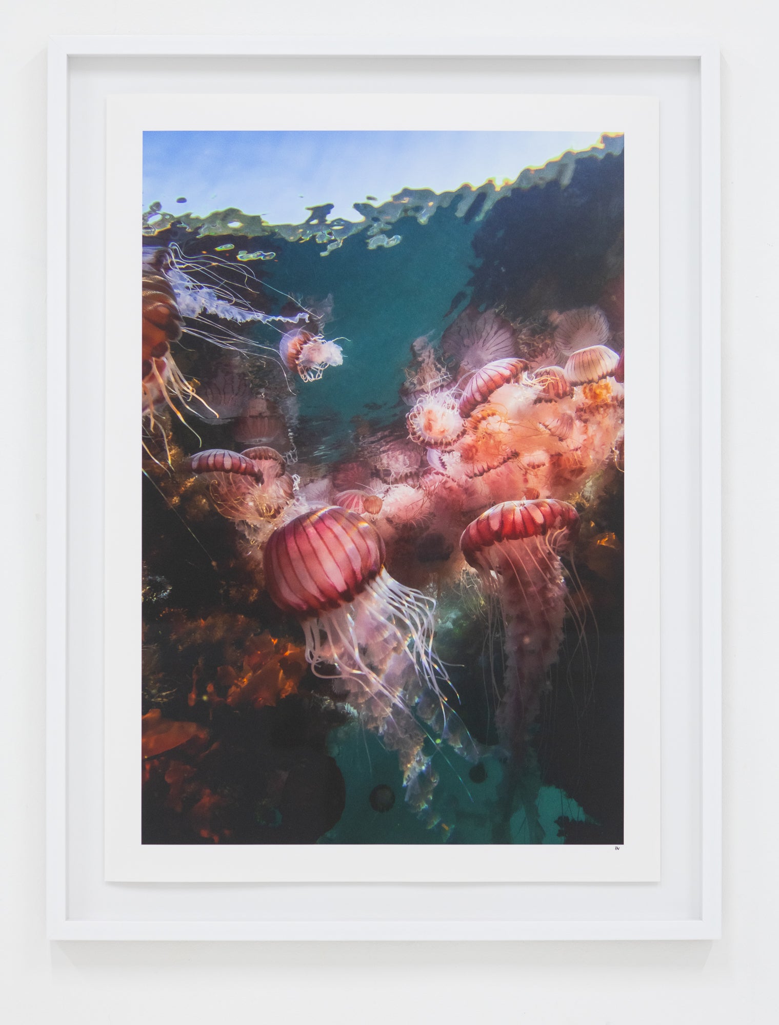 Helen Walne | Parachutes (2025)