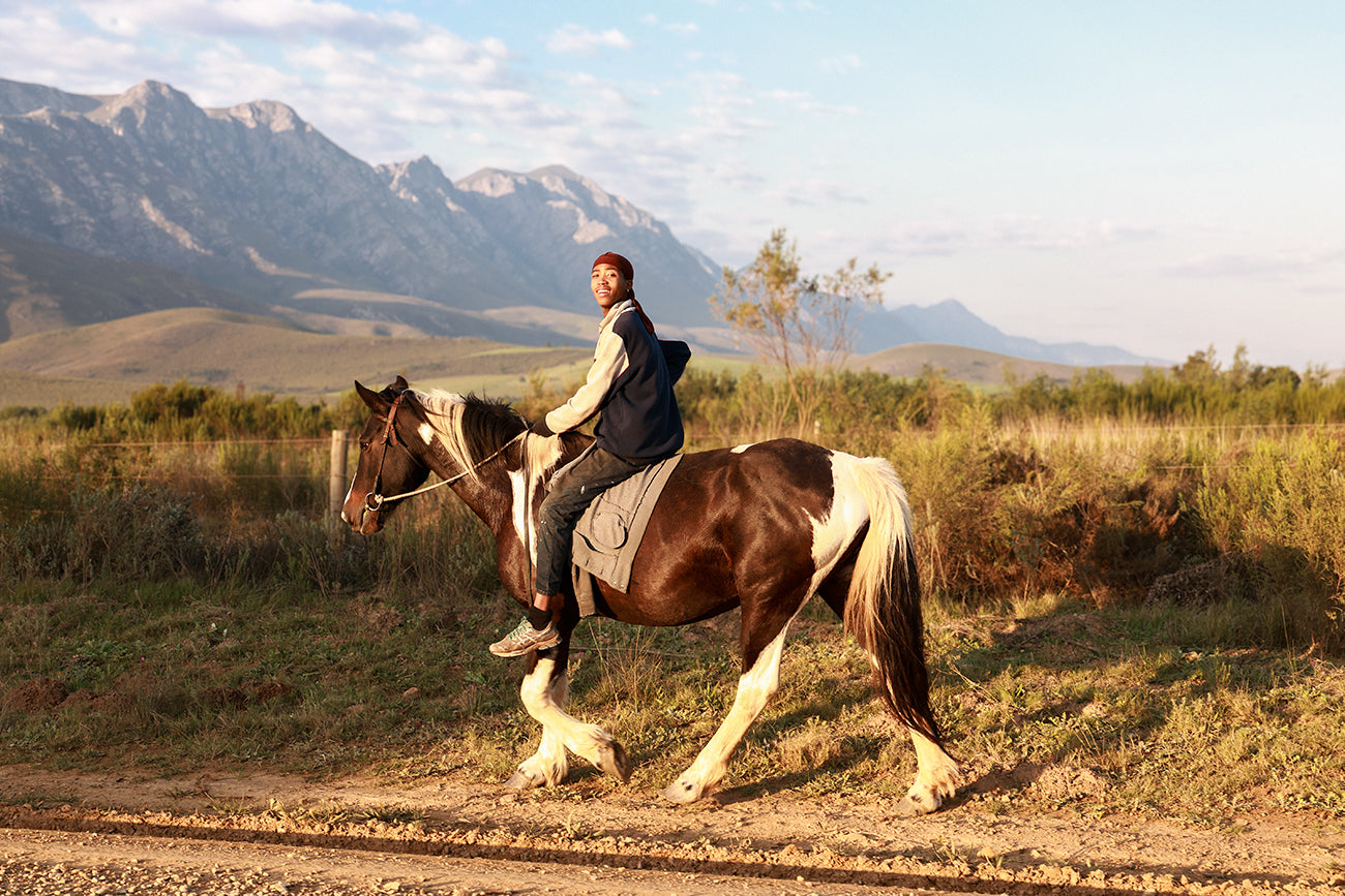 Gabrielle Kannemeyer | Dino and Stallion (Overberg, 2024)