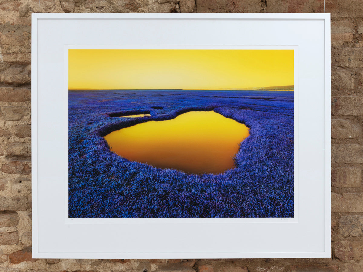 Dillon Marsh | Fever Dream I (2020)