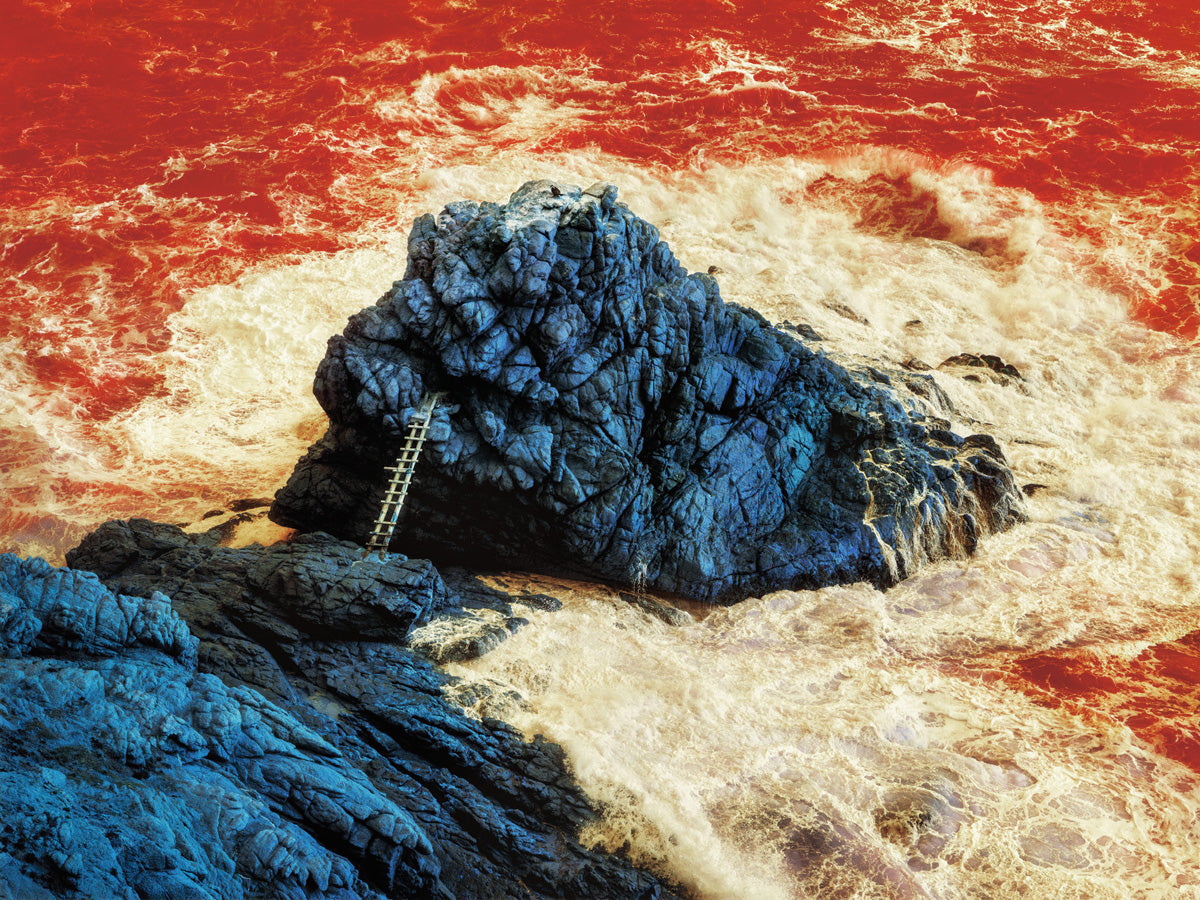 Dillon Marsh | Fever Dream II (2020)