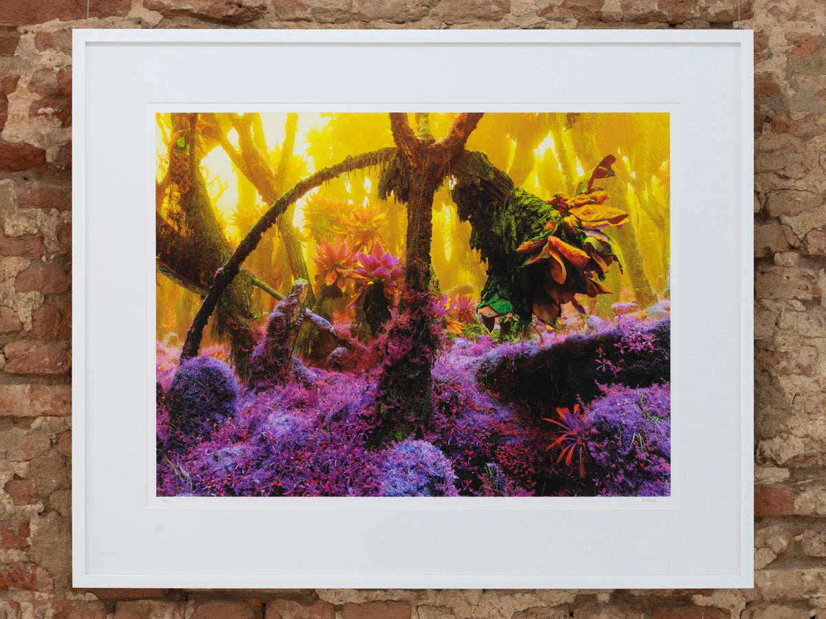 Dillon Marsh | Fever Dream III (2020)