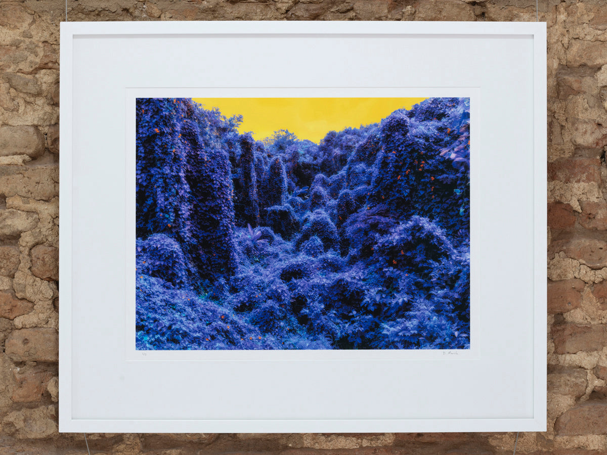 Dillon Marsh | Fever Dream V (2020)