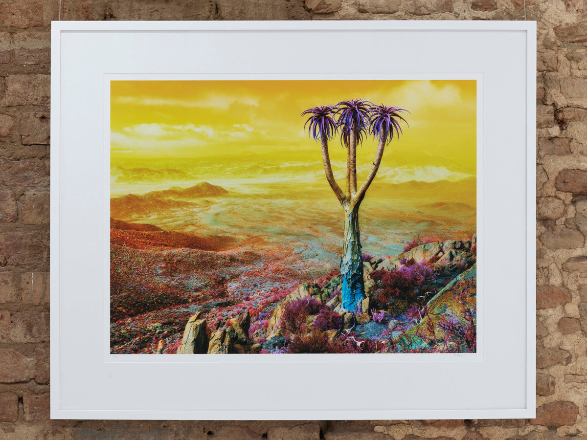 Dillon Marsh | Fever Dream VI (2020)