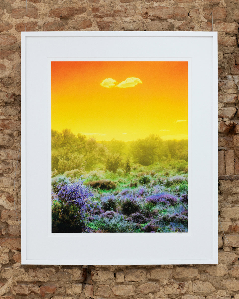 Dillon Marsh | Fever Dream VII (2020)