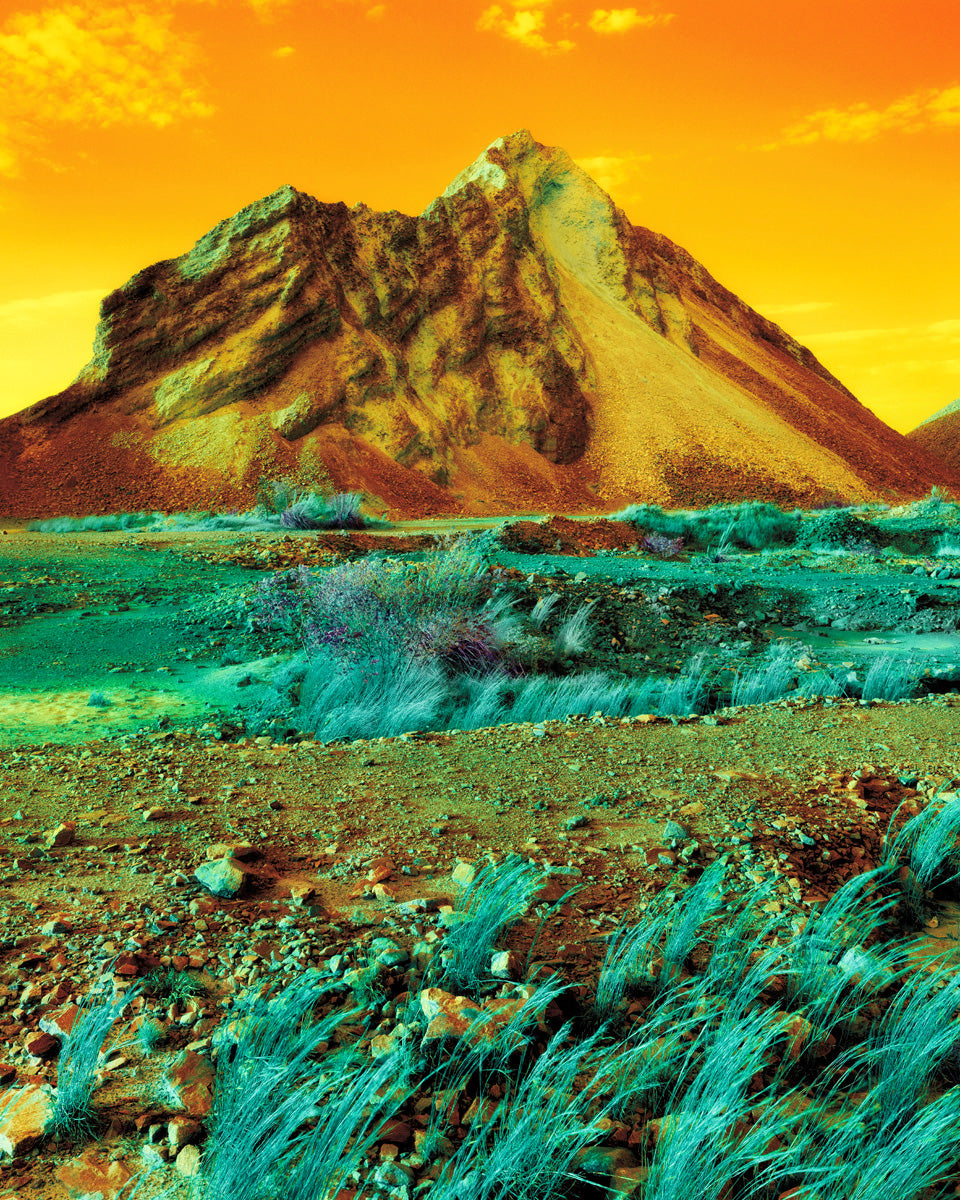 Dillon Marsh | Fever Dream VIII (2020)