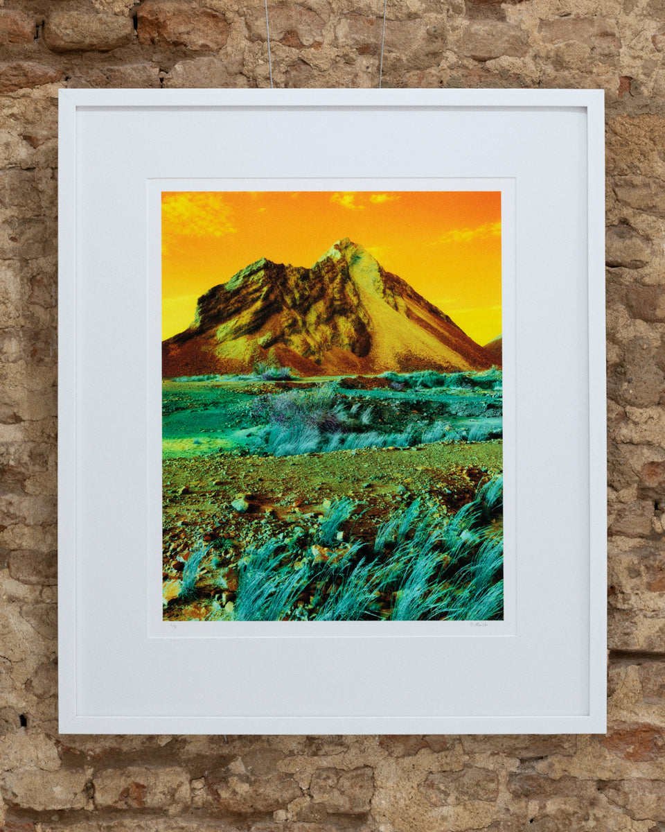 Dillon Marsh | Fever Dream VIII (2020)