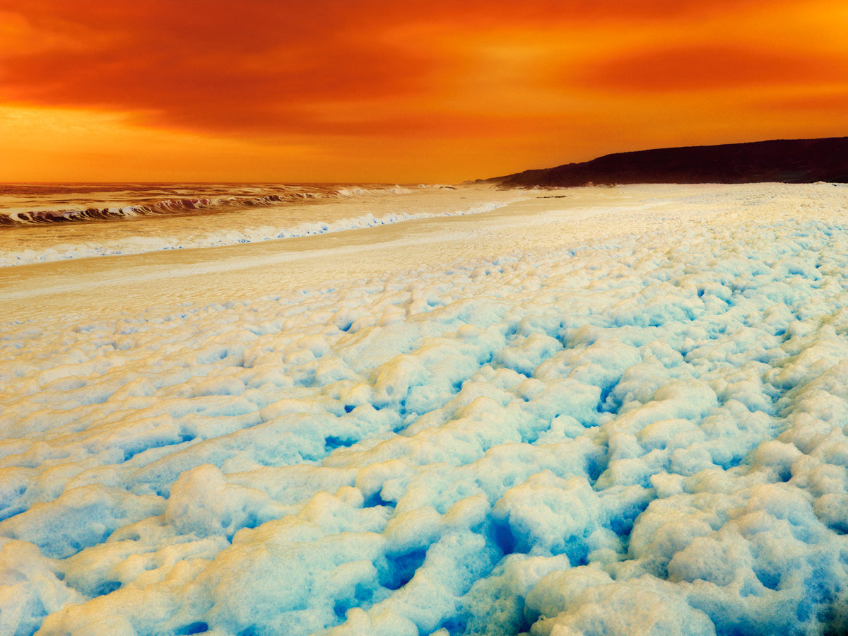 Dillon Marsh | Fever Dream X (2020)