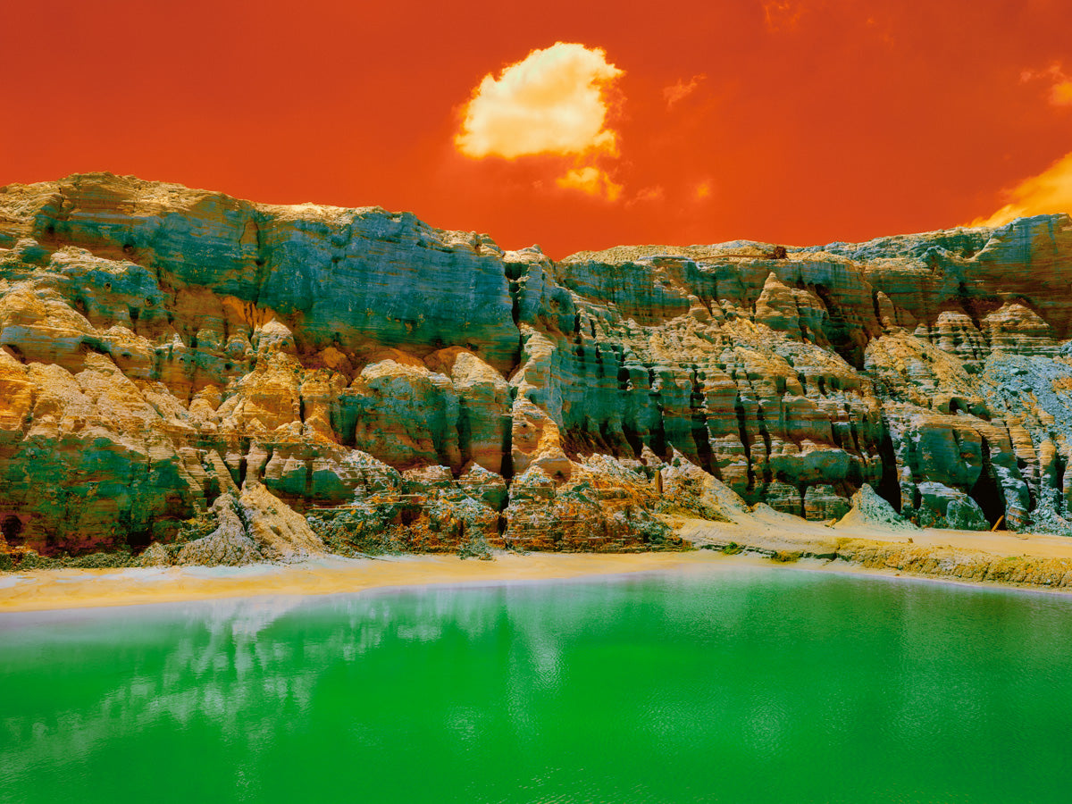 Dillon Marsh | Fever Dream XII (2020)