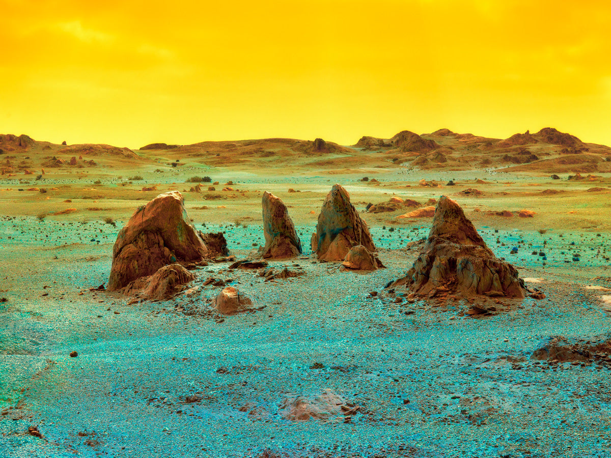 Dillon Marsh | Fever Dream XIII (2020)