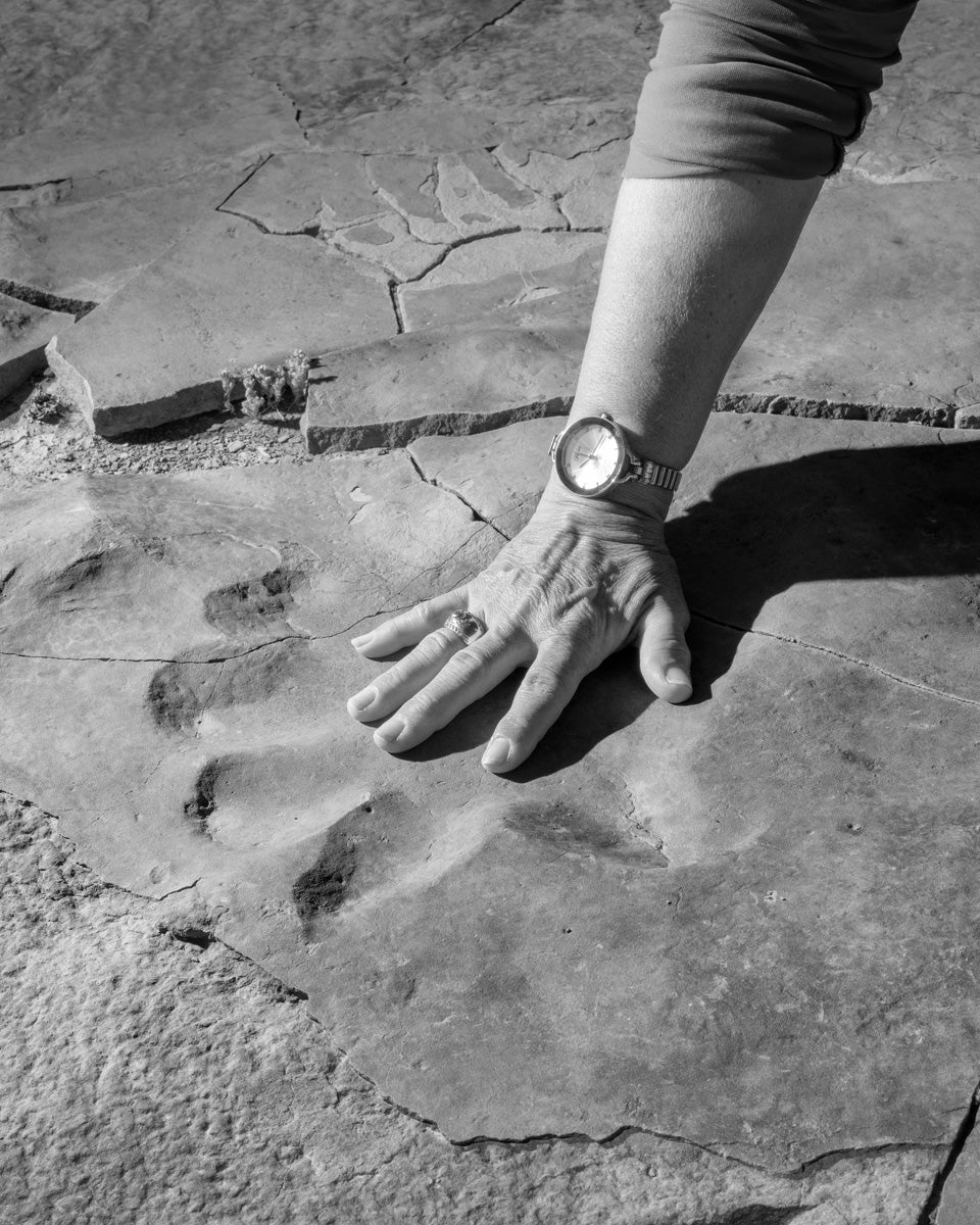 Dillon Marsh | Karoo II (2025)