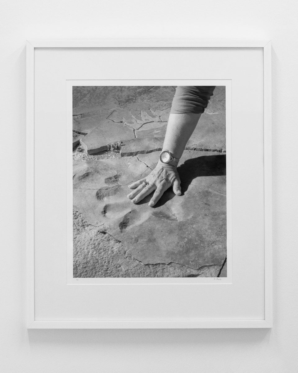 Dillon Marsh | Karoo II (2025)