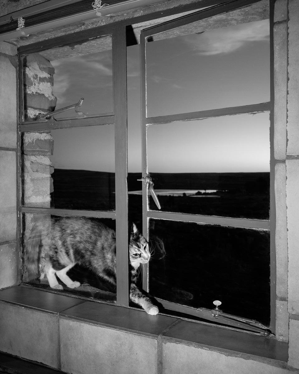 Dillon Marsh | Karoo III (2025)