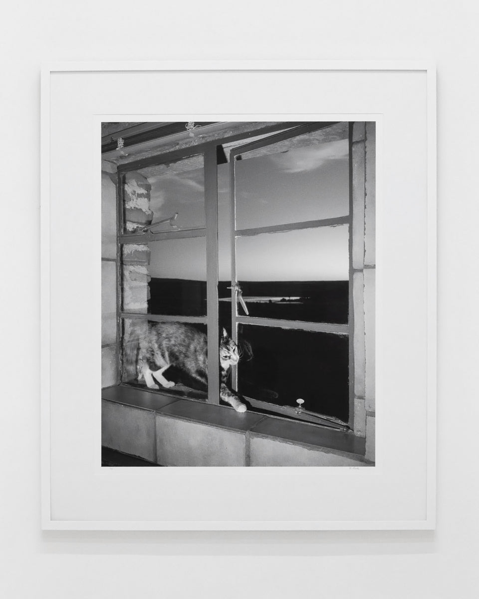 Dillon Marsh | Karoo III (2025)