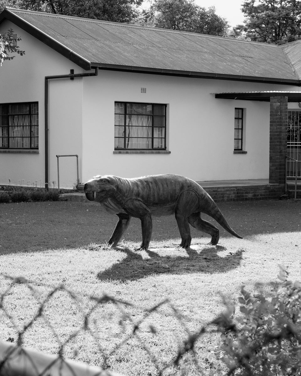 Dillon Marsh | Karoo IV (2025)