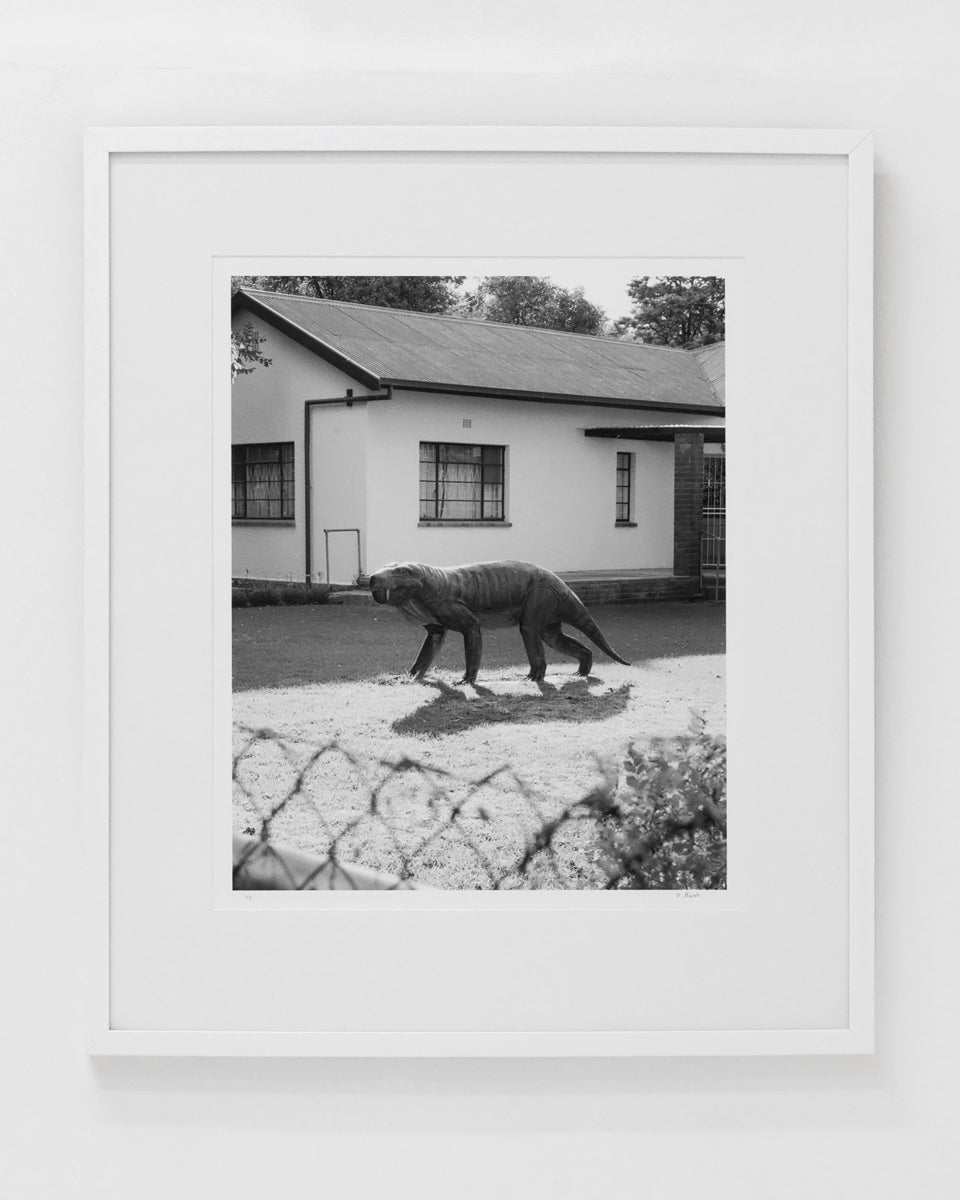 Dillon Marsh | Karoo IV (2025)