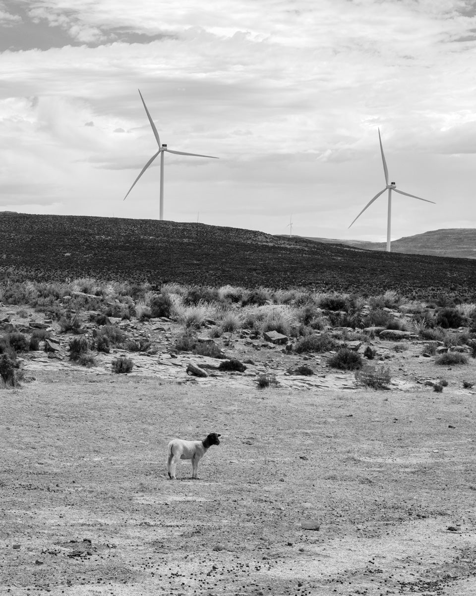 Dillon Marsh | Karoo XIV (2025)