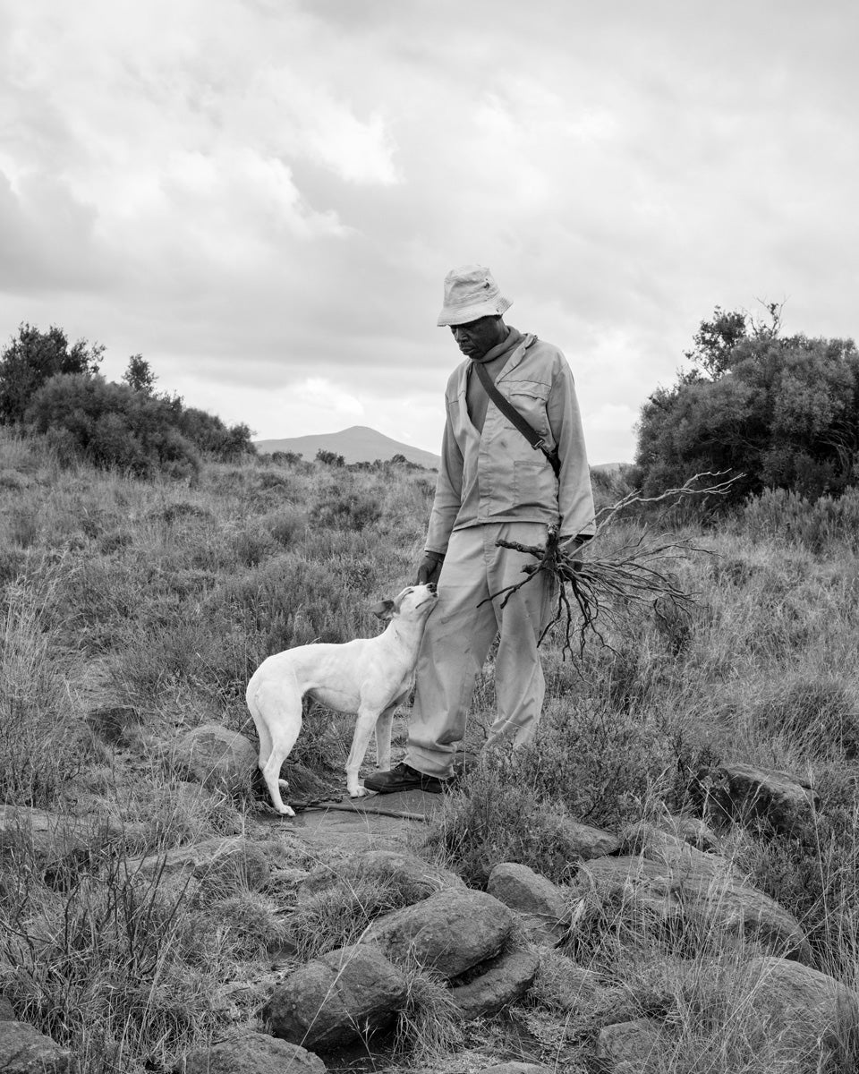 Dillon Marsh | Karoo XVII (2025)