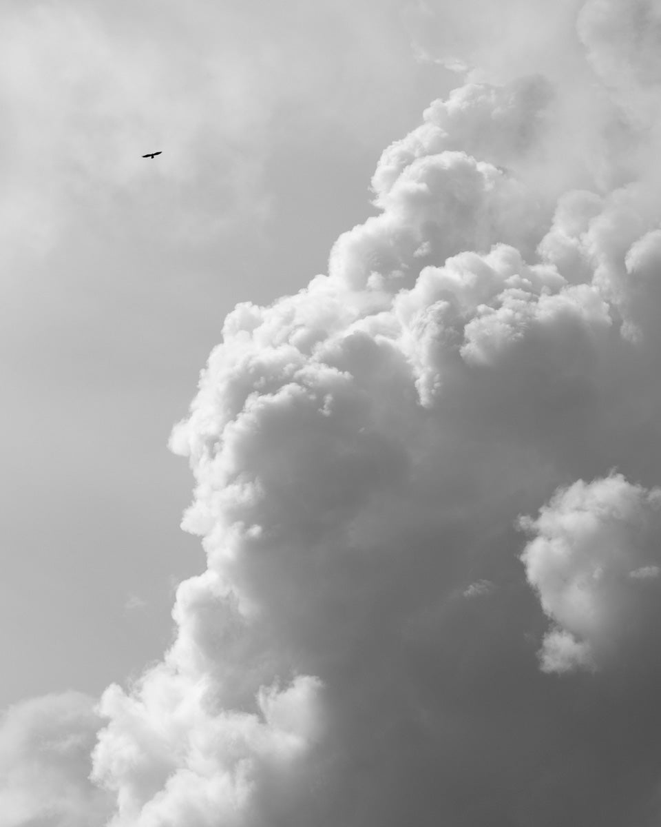 Dillon Marsh | Karoo XIX (2025)