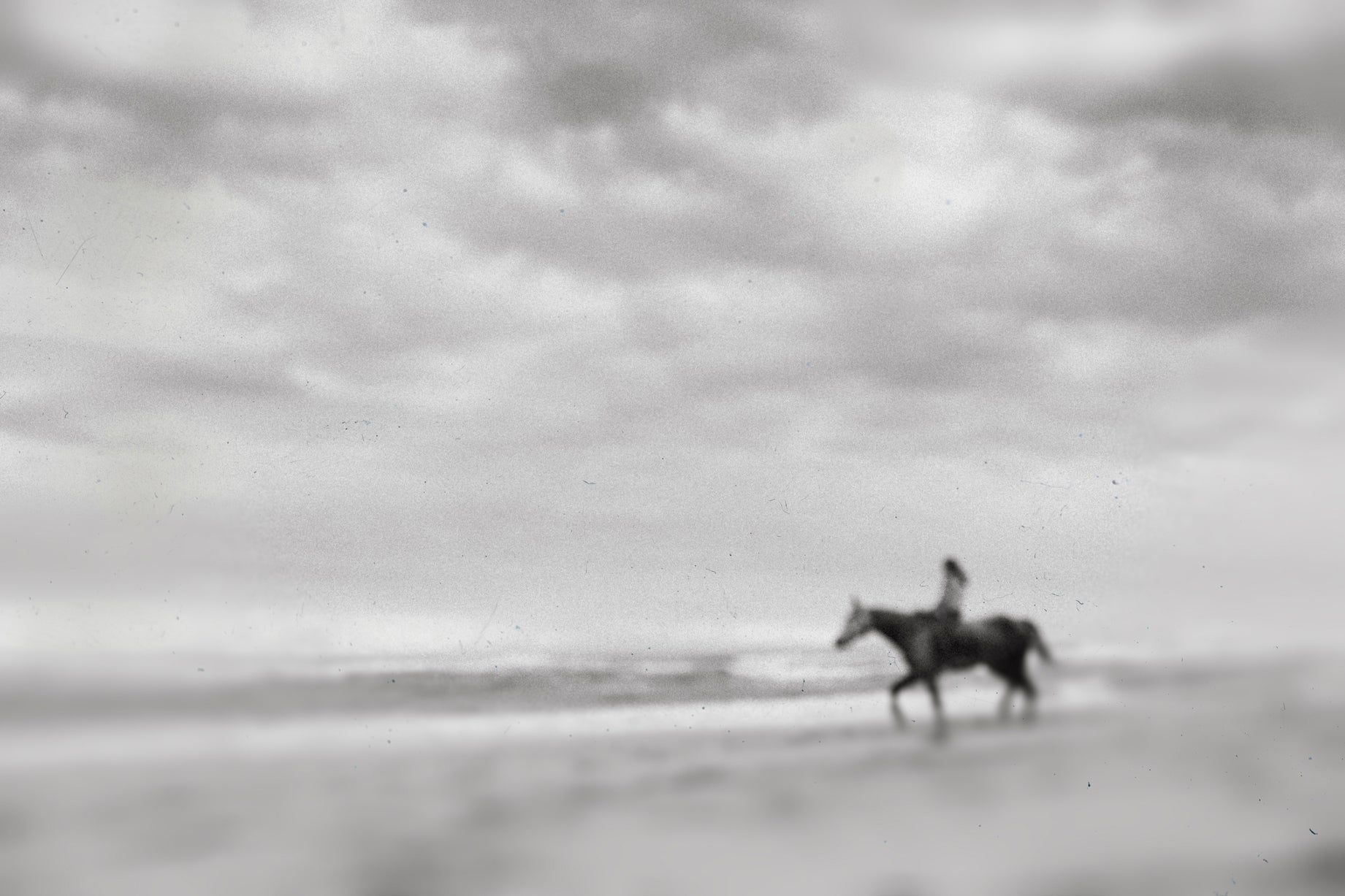 Sophie Smith | Beach Rider (2025)